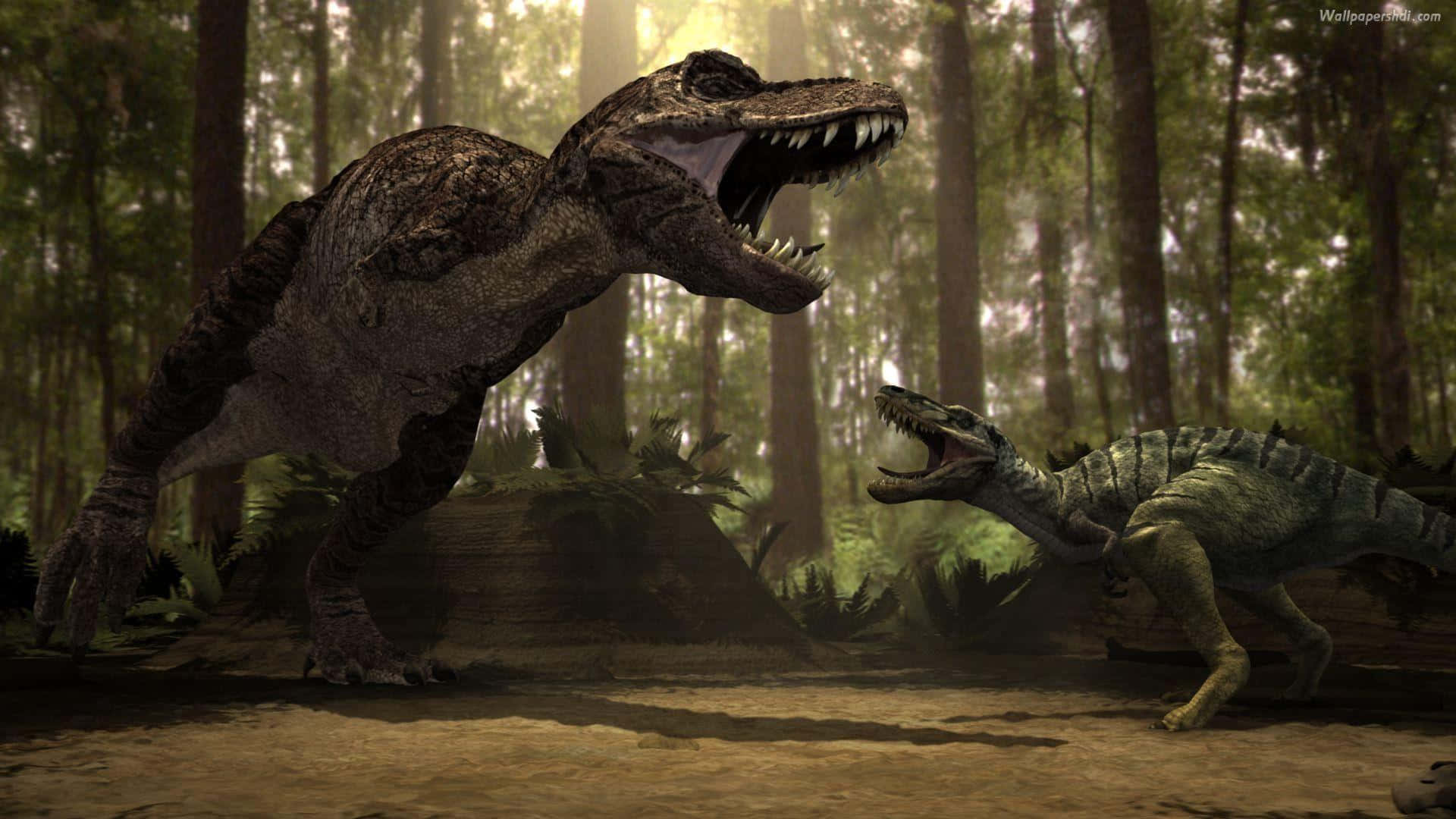 Cool Dinosaur 桌布 壁紙 — 兩隻兇猛的恐龍在陽光明媚的古老森林中互相咆哮，周圍是高聳的樹木和斑駁的光影。
