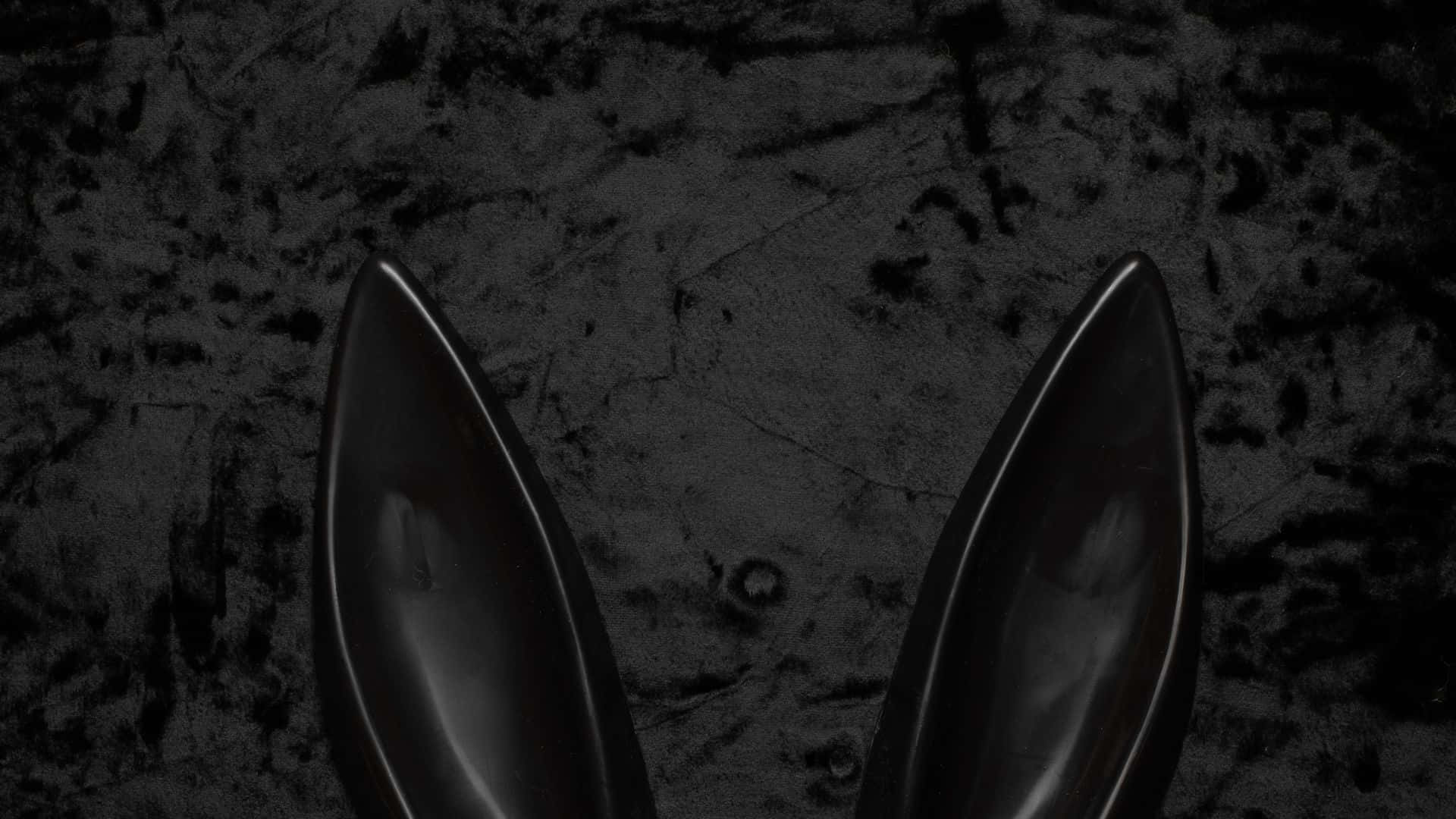 1920 X 1080 桌布 壁紙 — 兩隻光滑的黑色兔耳朵在粗糙紋理的深灰色背景上格外突出。