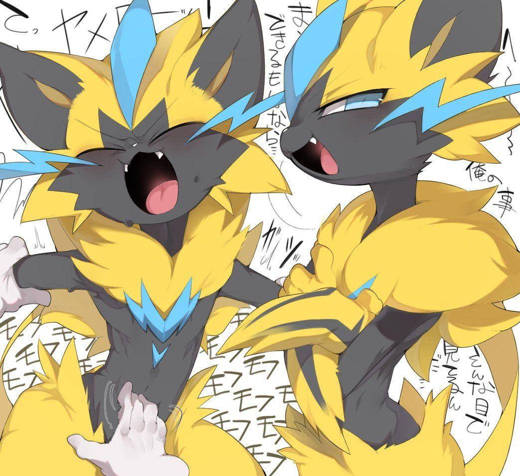Zeraora 桌布 壁紙 — 兩隻動漫風格的捷拉奧拉，黃色毛髮和藍色閃電圖案，在日文字背景前充滿活力地咆哮。