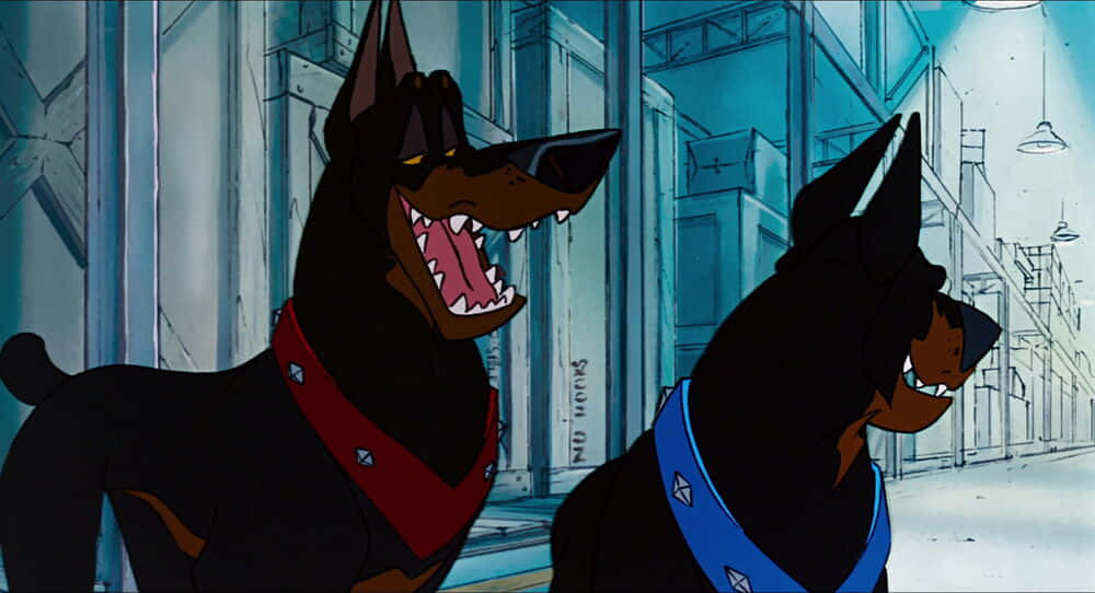 oliver and company 桌布 壁紙 — 兩隻動畫杜賓犬戴著紅色和藍色項圈，在藍色燈光下的骯髒城市小巷中咆哮。