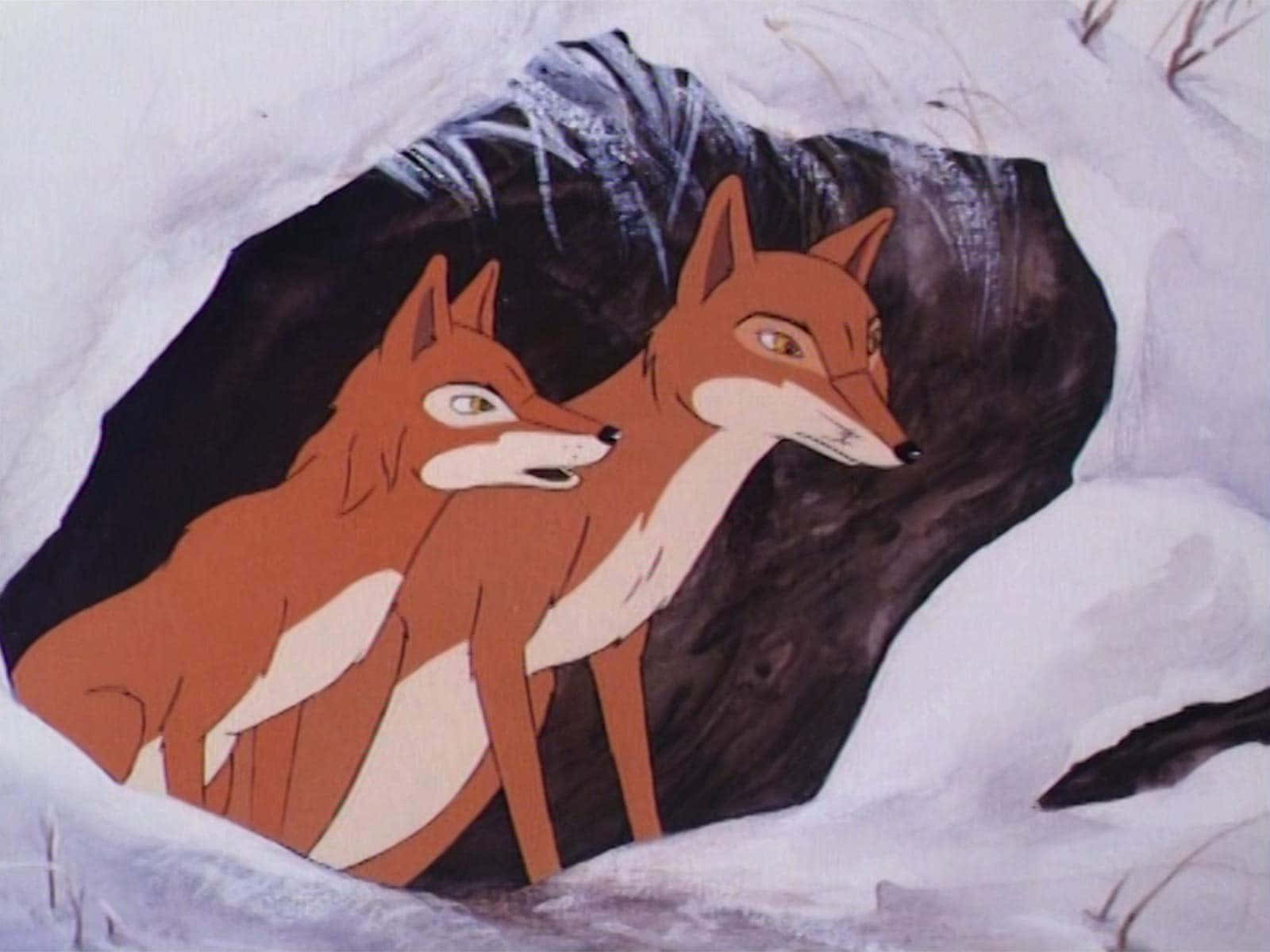 animals 桌布 壁紙 — 兩隻動畫狐狸從積雪洞穴入口警覺地探出頭來。