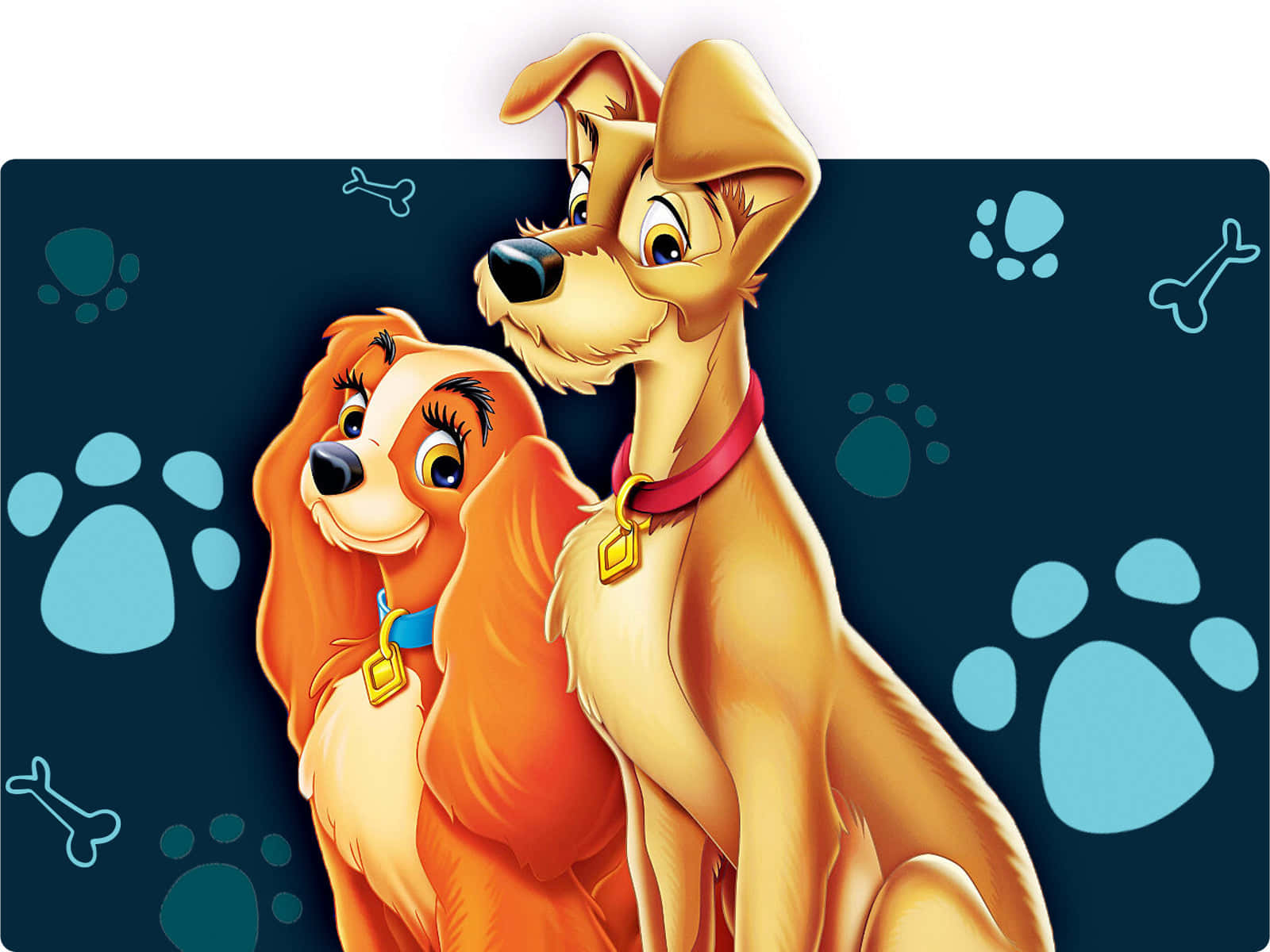 lady and the tramp 桌布 壁紙 — 兩隻動畫狗，眼睛充滿表情，戴著項圈，一起坐在深藍色背景上，背景有淺藍色爪印和骨頭。