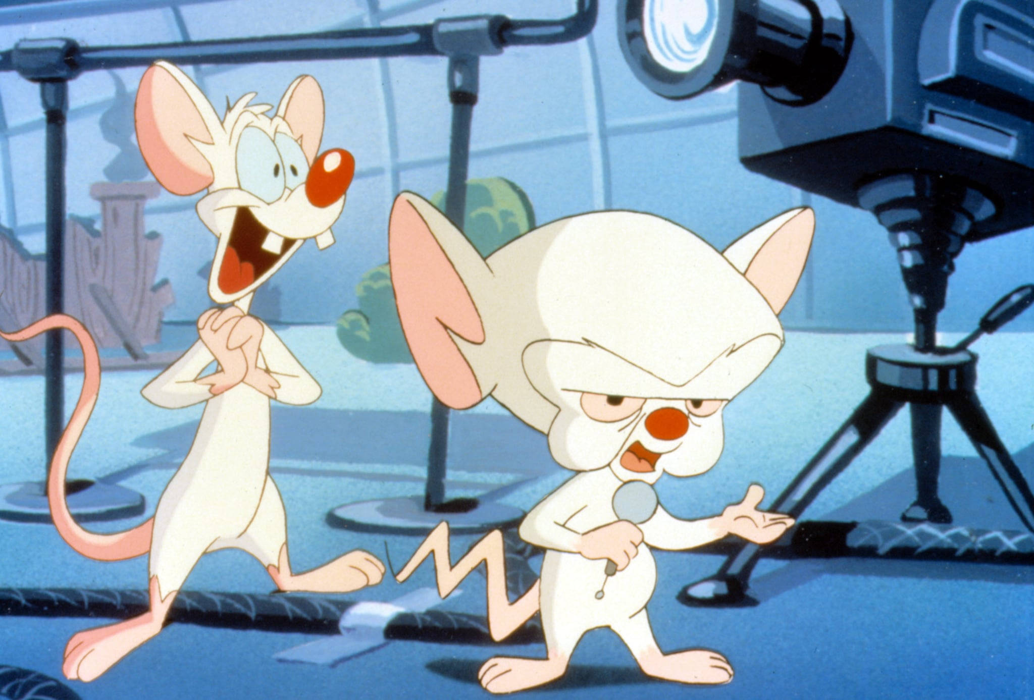 Animaniacs 桌布 壁紙 — 兩隻動畫老鼠在藍色舞台上充滿活力地表演，背景有一個大相機和管道。