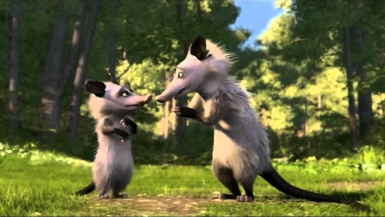 Over The Hedge 桌布 壁紙 — 兩隻動畫負鼠站在陽光明媚的森林草地上，面對面，眼睛富有表現力，嘴巴張開。