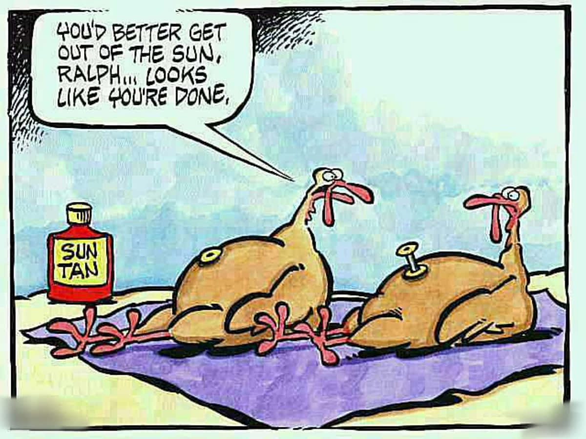 Thanksgiving Funny 桌布 壁紙 — 兩隻卡通火雞在海灘的毛巾上休息，其中一隻在防曬霜瓶附近警告另一隻關於曬傷。