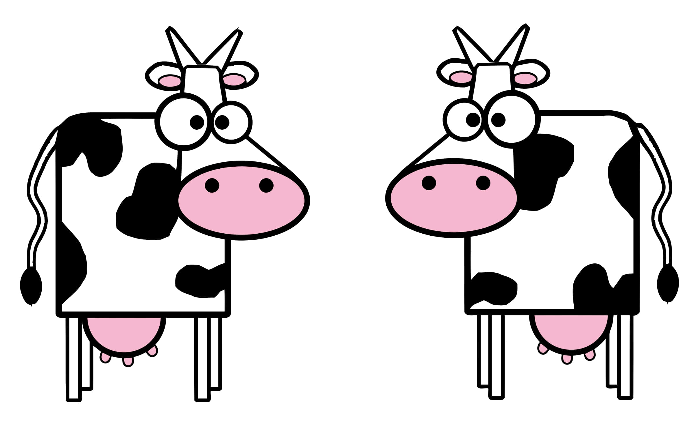 Kawaii Cute Cow 桌布 壁紙 — 兩隻卡通牛，粉紅色鼻子，黑色斑點，大圓眼睛，簡單的棍子腿，並排站立。