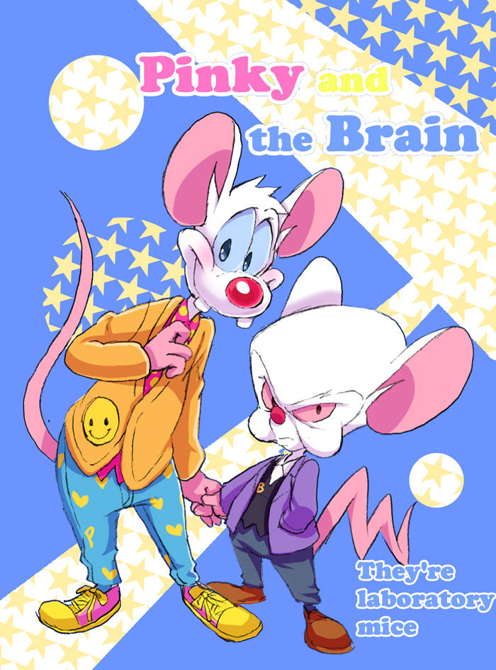 Brain 桌布 壁紙 — 兩隻卡通老鼠穿著色彩繽紛的服裝，站在藍色和黃色星星圖案的背景前。
