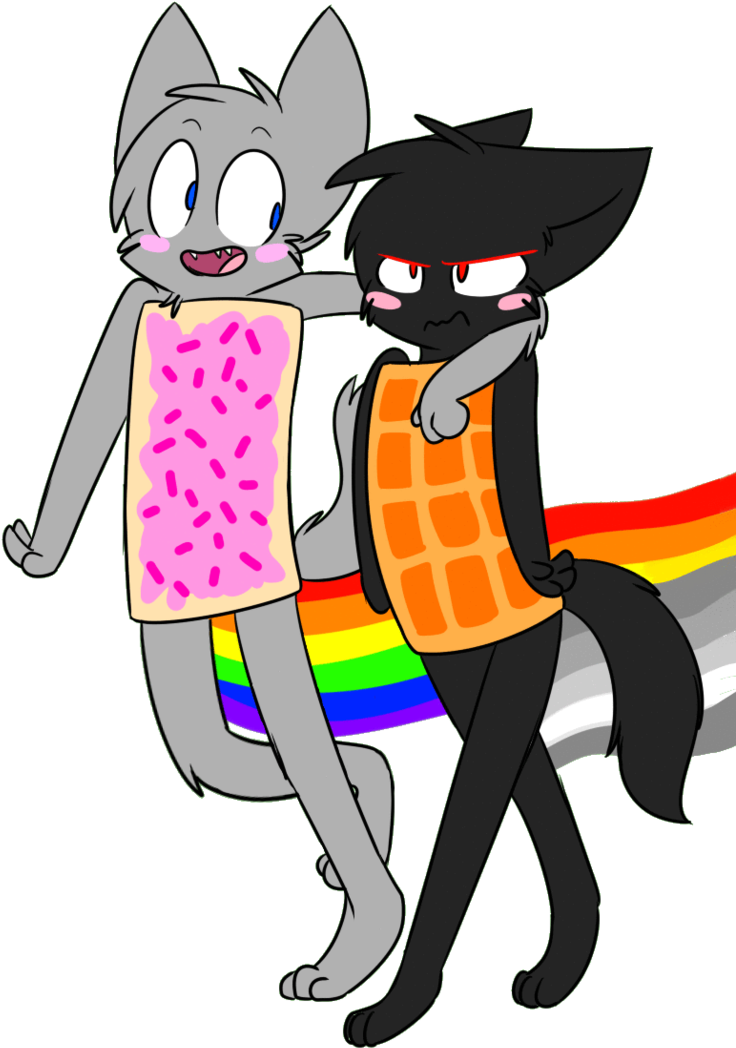 Nyan Cat 桌布 壁紙 — 兩隻卡通貓咪打扮成鬆餅和粉紅糖霜甜甜圈點心，拖著彩虹尾巴，在黑色背景前擺姿勢。
