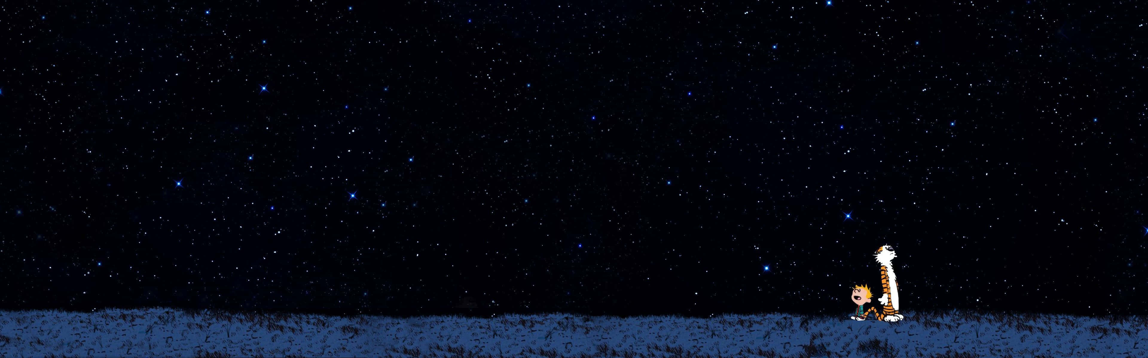 Minimalist Dual Monitor 桌布 壁紙 — 兩隻卡通貓站在雪地上，頭頂是廣闊的星空。
