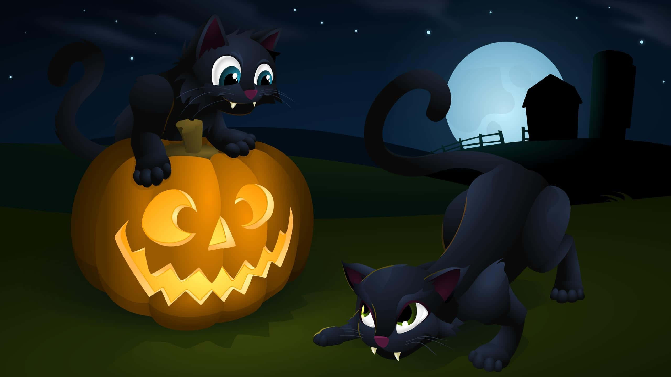 Halloween Cat 桌布 壁紙 — 兩隻卡通黑貓在滿月下的星空夜晚，與發光的傑克南瓜燈嬉戲互動。