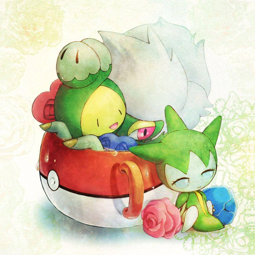 寶可夢 桌布 壁紙 — 兩隻可愛的chibi Pokémon在一個巨大的寶貝球茶杯裡睡覺，旁邊還有一朵玫瑰。