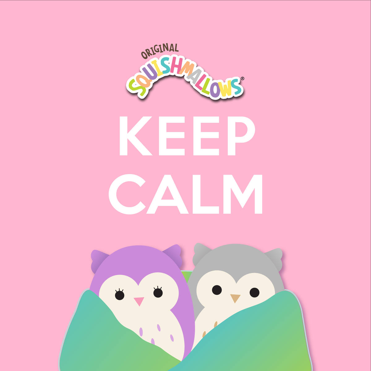 兩隻毛絨貓頭鷹在毯子下，帶有「KEEP CALM」和「Squishmallows」標誌。 — Squishmallows 壁紙