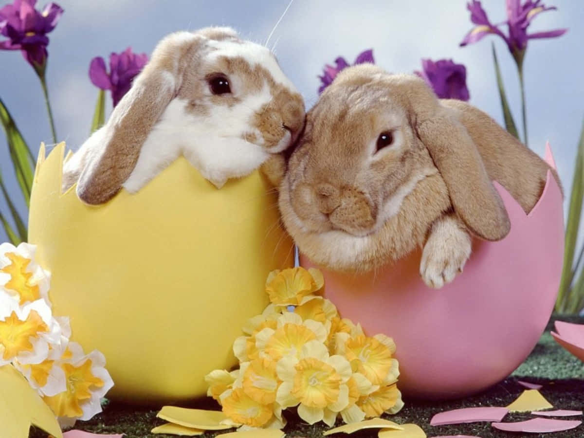 Easter 桌布 壁紙 — 兩隻可愛的垂耳兔從色彩繽紛的復活節彩蛋中探出頭來，周圍環繞著充滿活力的紫色和黃色花朵。