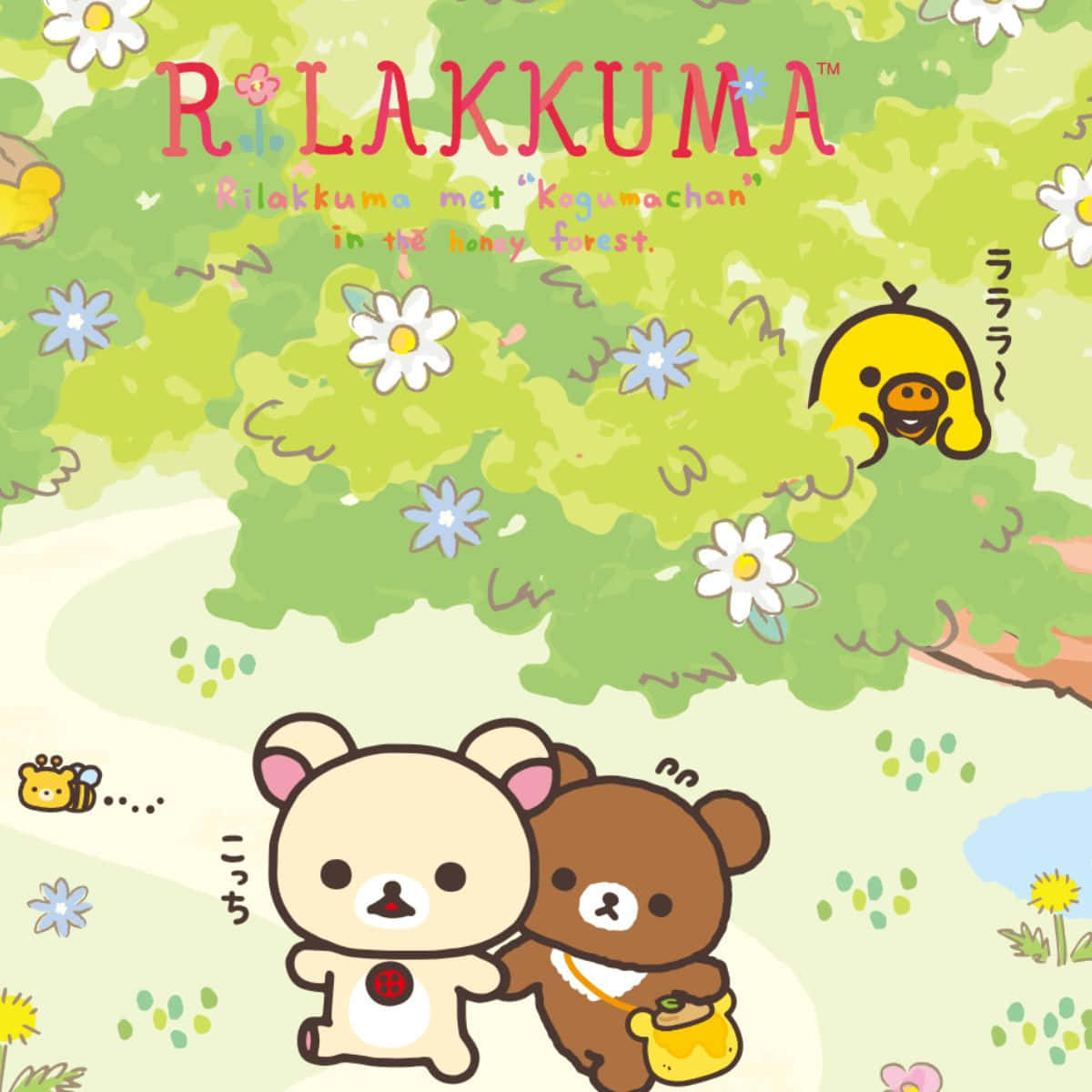 懶懶熊 桌布 壁紙 — 兩隻可愛的熊 Rilakkuma 和 Korilakkuma 在陽光明媚的草地上探索，草地上有雛菊，一隻黃色小鳥從綠色樹葉中探出頭來。