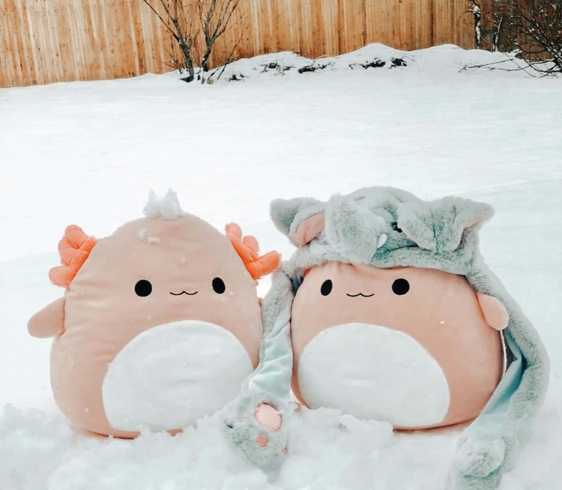 兩隻粉紅色六角恐龍毛絨玩具坐在雪地裡，戴著龍帽。 — Squishmallows 壁紙