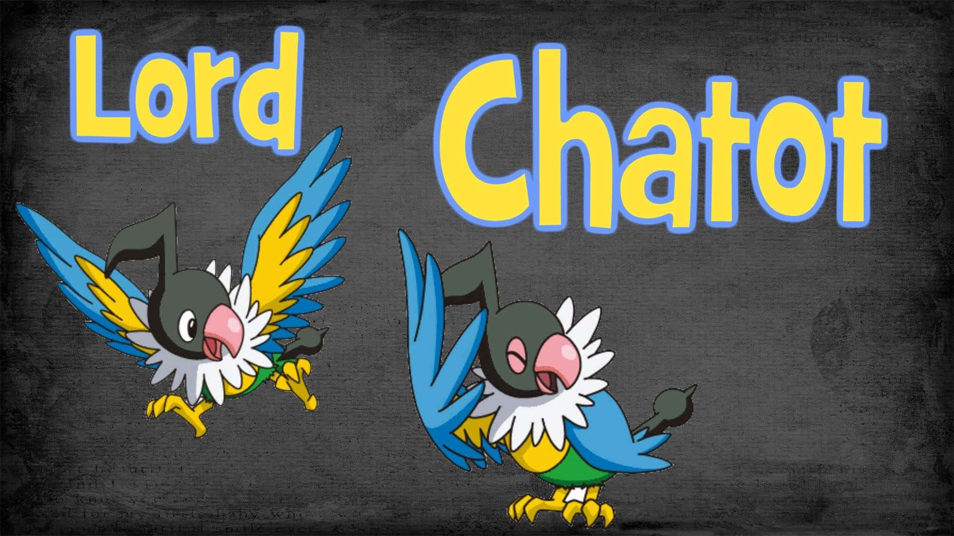 寶可夢 桌布 壁紙 — 兩隻名為Lord Chatot的卡通鳥寶可夢站在黑板背景上，上方有粗體黃色文字。
