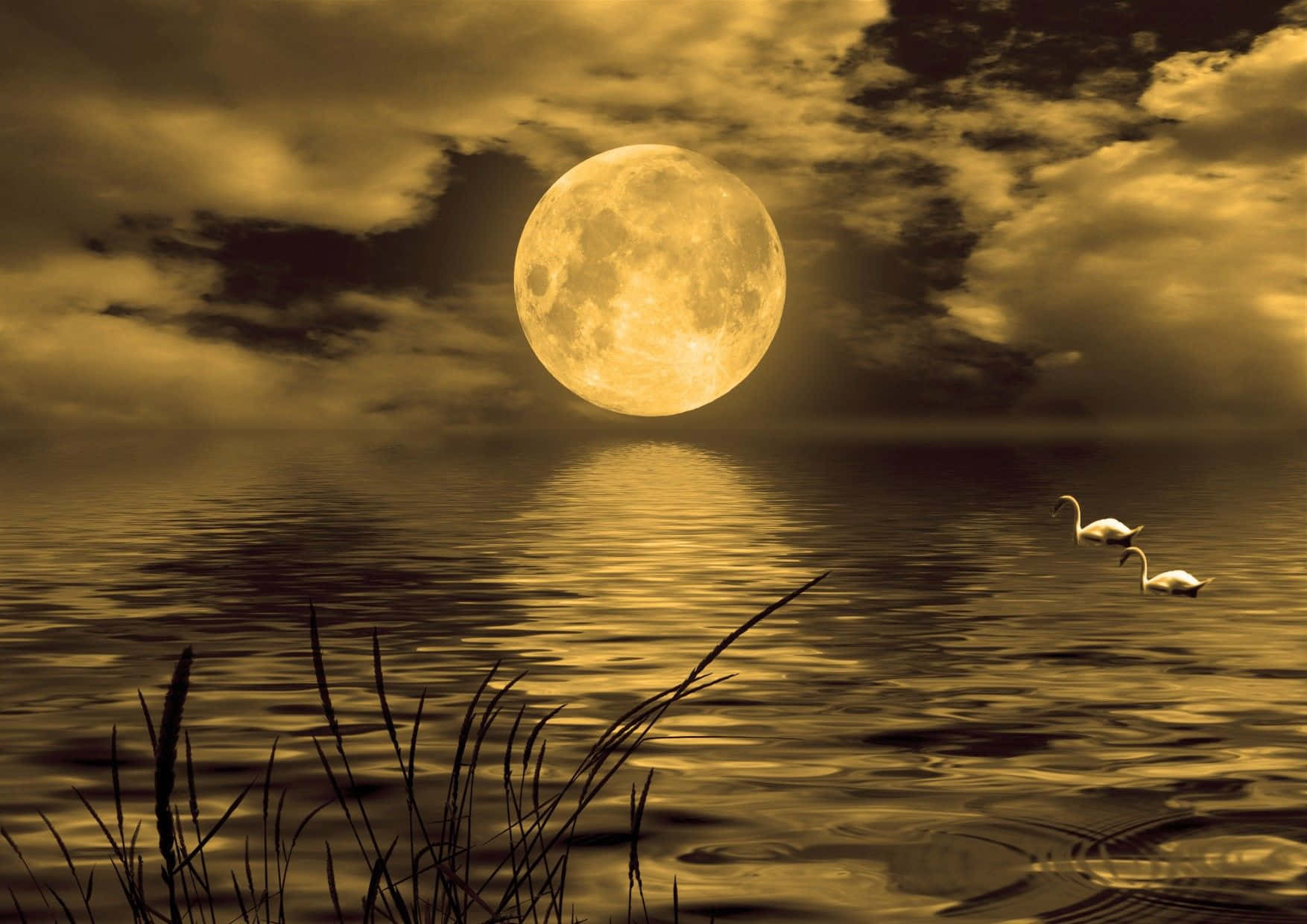 Beautiful Moon 桌布 壁紙 — 兩隻天鵝在月光照耀的湖面上滑行，一輪巨大的金色滿月在水面上泛起漣漪。