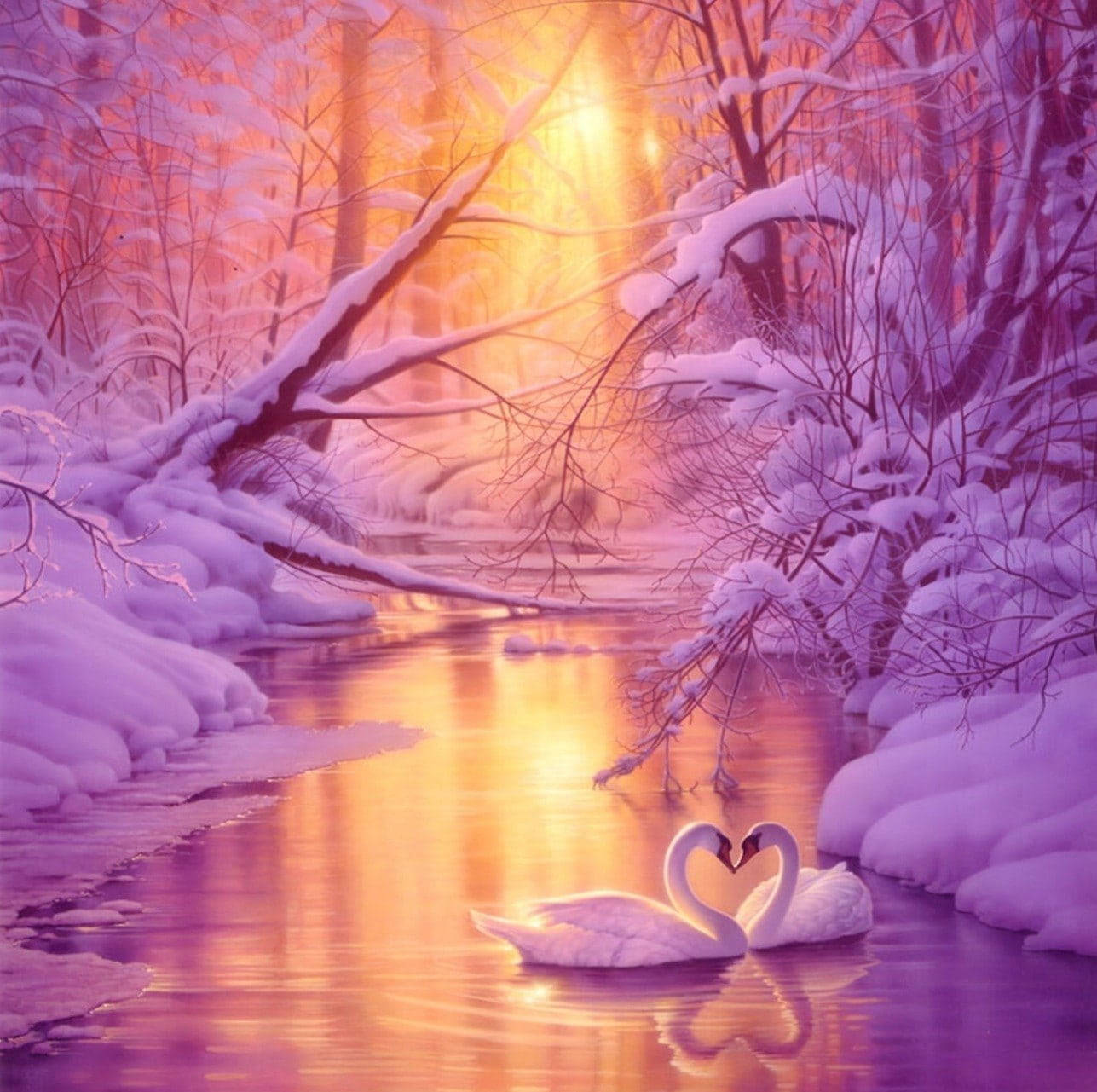 Love Nature 桌布 壁紙 — 兩隻天鵝在雪白的河上形成心形，金色夕陽穿過冬日樹木。