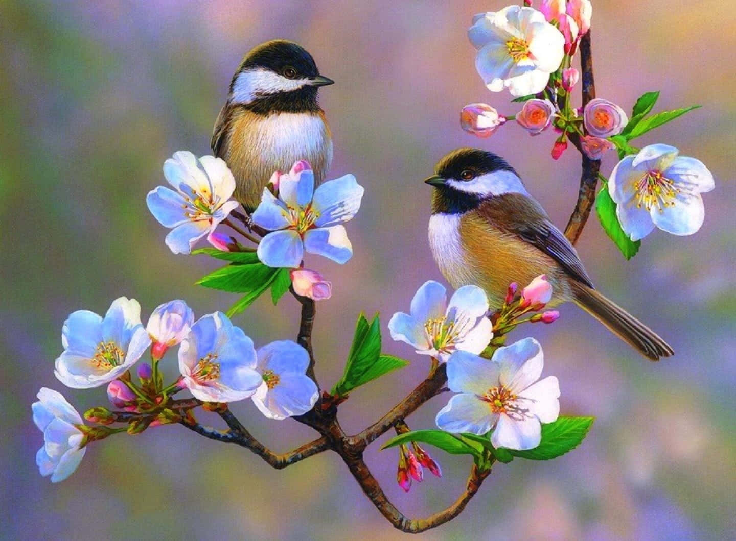 Spring Birds 桌布 壁紙 — 兩隻小鳥棲息在開花的樹枝上，樹枝上有精緻的藍色和粉紅色花朵，背景柔和模糊。