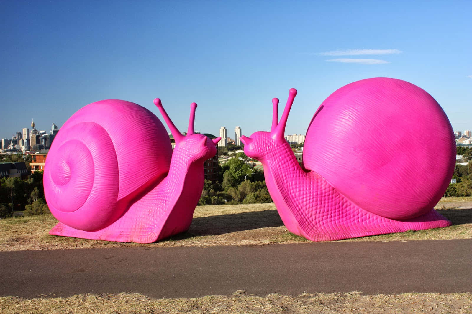 Pink Snail 桌布 壁紙 — 兩隻巨型粉紅色蝸牛雕塑在一片草地上相對而立，背景是晴朗藍天下的城市天際線。