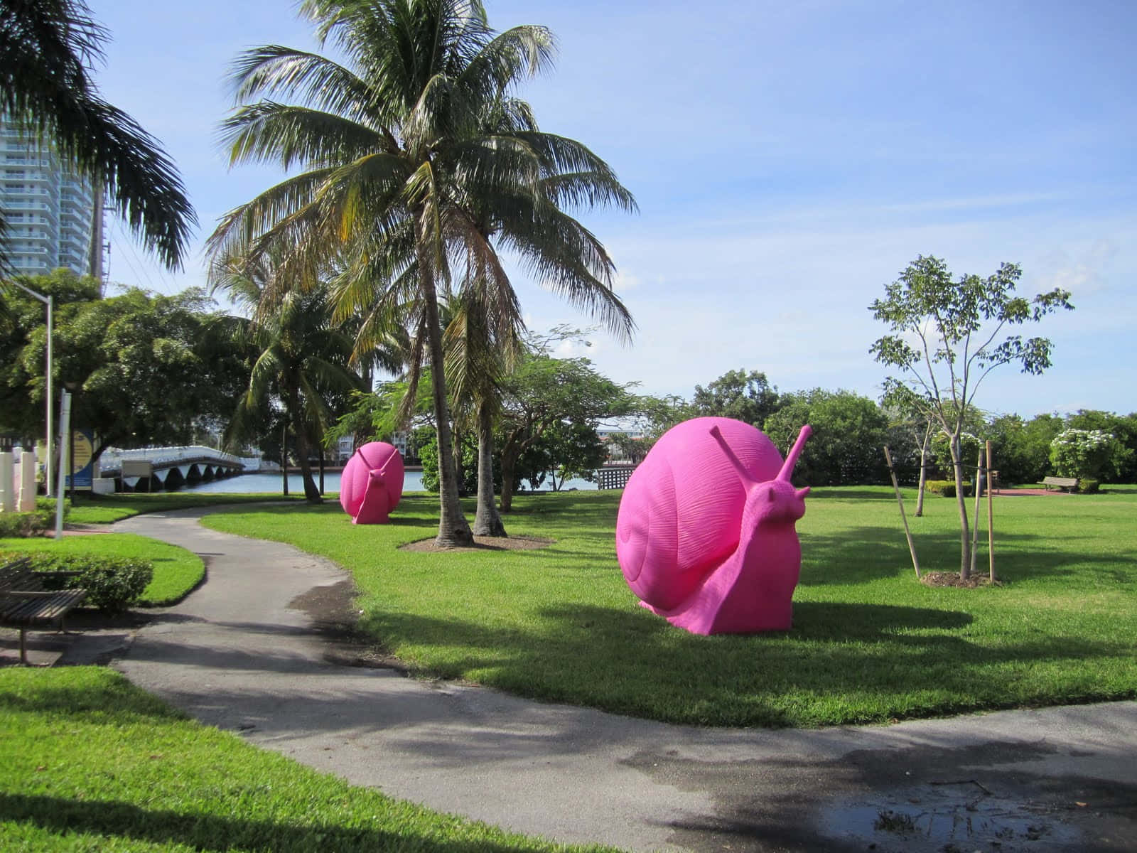 Pink Snail 桌布 壁紙 — 兩隻巨大的粉紅色蝸牛雕塑放在棕櫚樹和晴朗藍天下蜿蜒小徑旁的草地上。