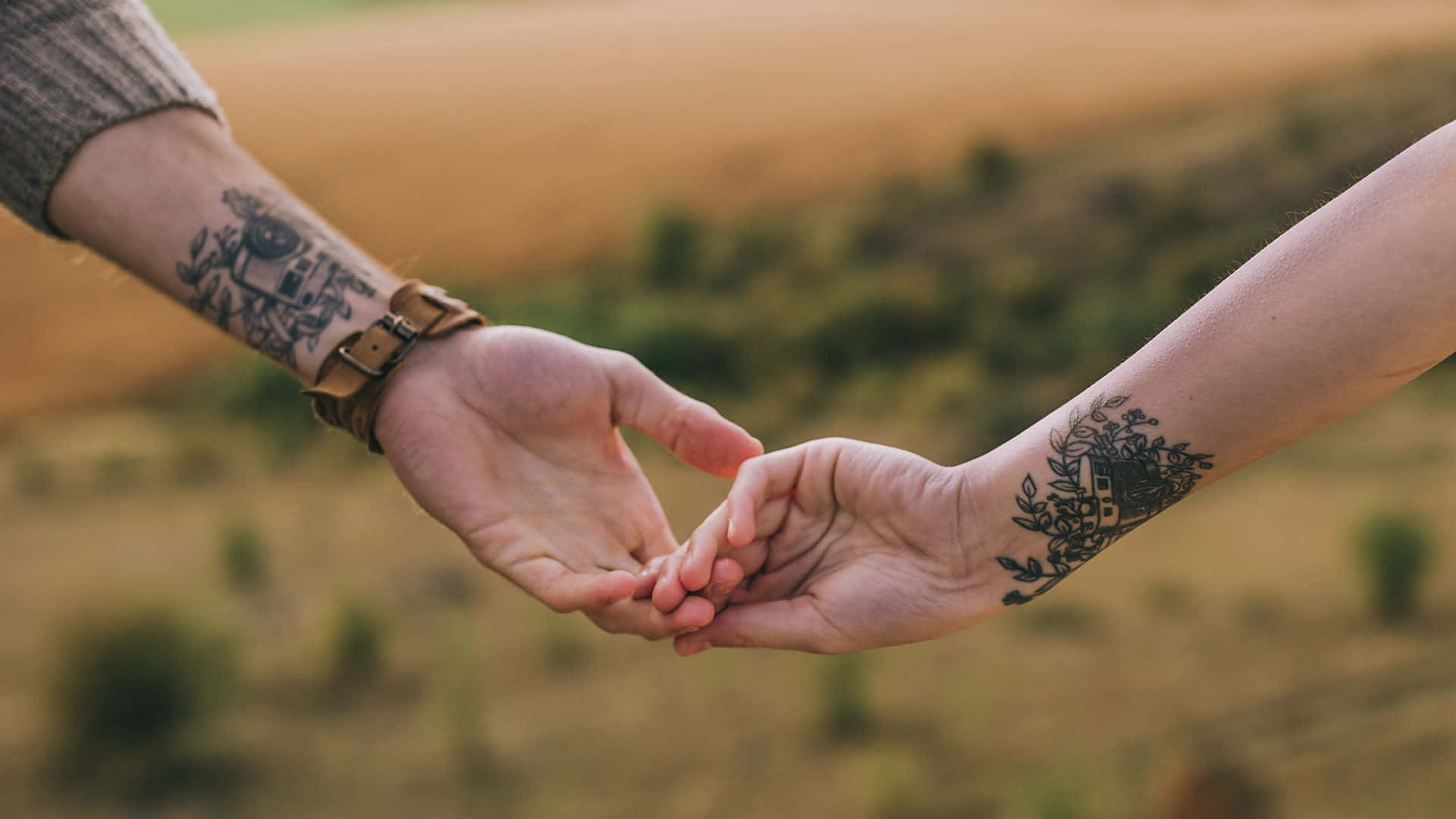 Holding Hands 桌布 壁紙 — 兩隻帶有刺青的手在溫暖陽光下，於模糊的金色田野中輕輕交握。
