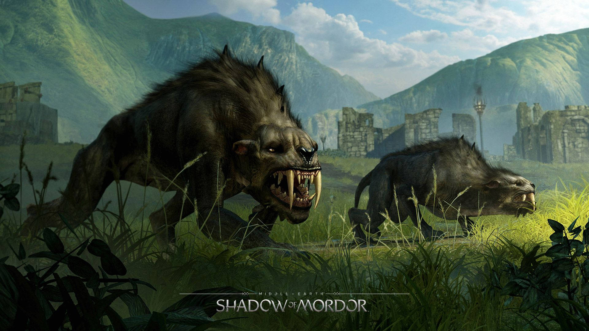 middle earth shadow of war 桌布 壁紙 — 兩隻帶有尖銳獠牙、兇猛的狼形野獸，在明亮的天空下，於古老遺跡附近的高草叢中潛行。