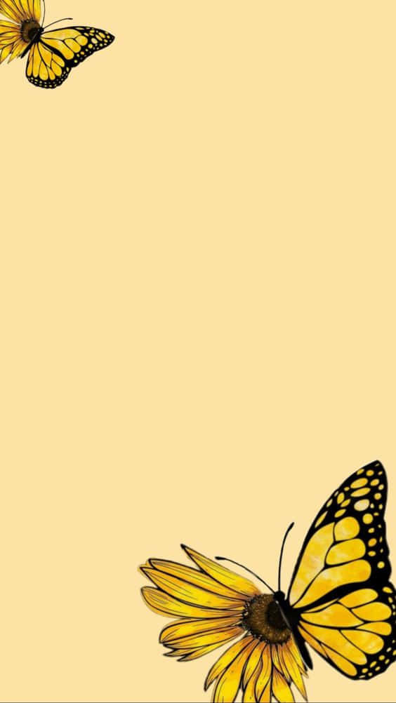 Butterflies 桌布 壁紙 — 兩隻帶有黑色脈絡的黃色帝王蝶在淡黃色背景下的向日葵附近翩翩起舞。
