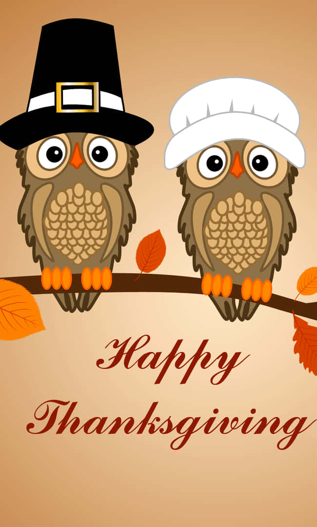 Thanksgiving Phone 桌布 壁紙 — 兩隻戴著朝聖者帽子的卡通貓頭鷹棲息在樹枝上，伴隨著秋葉，背景是溫暖的棕色。