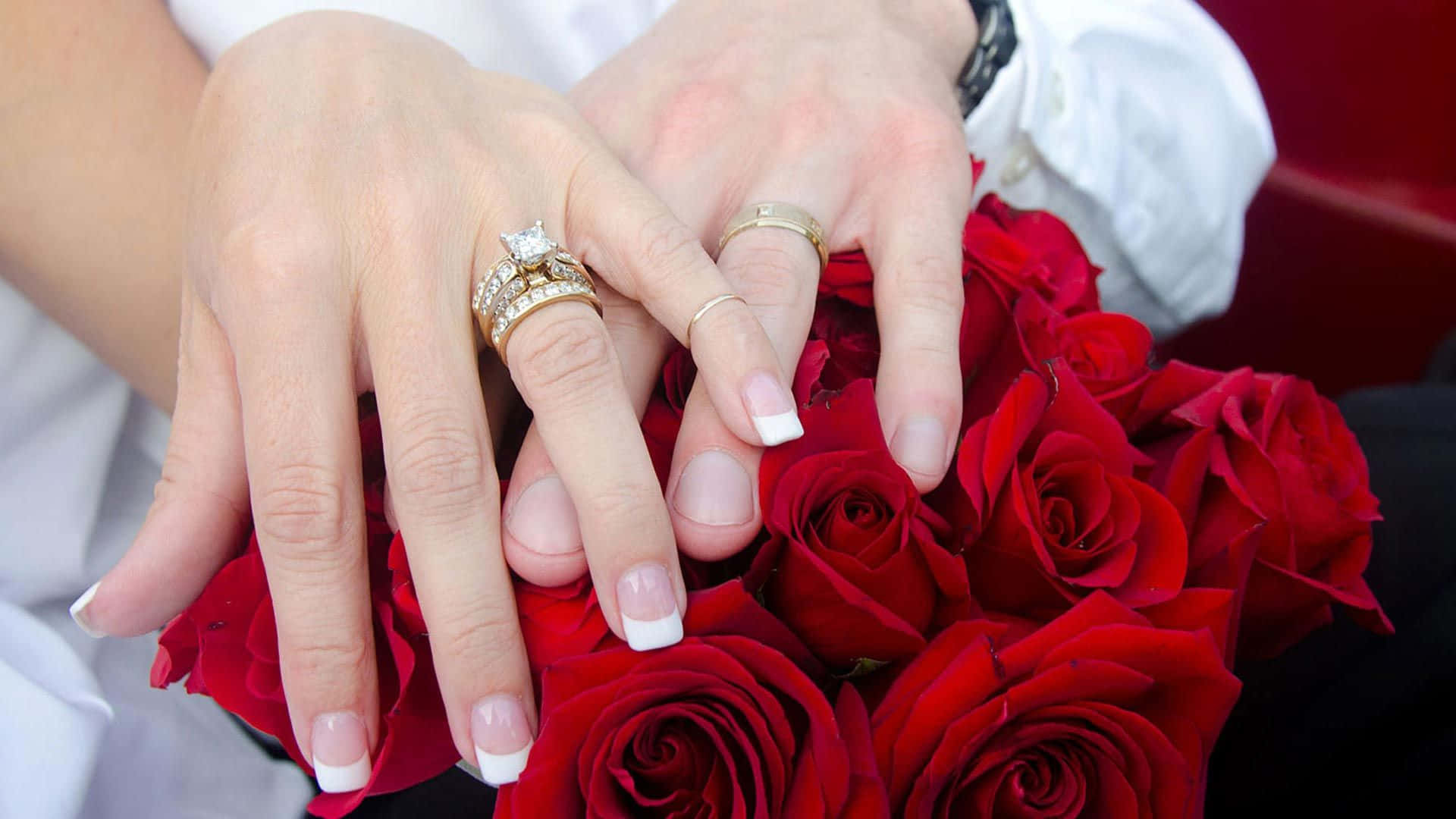 Marriage 桌布 壁紙 — 兩隻戴著結婚戒指的手輕輕捧著一束茂盛鮮豔的紅玫瑰。