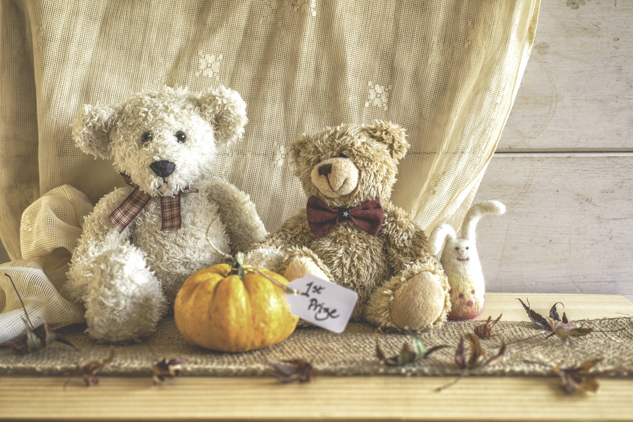 Cute Teddy Bear 桌布 壁紙 — 兩隻戴著蝴蝶結的毛絨泰迪熊坐在一個小南瓜和乾樹葉旁邊，放在粗麻布表面上。