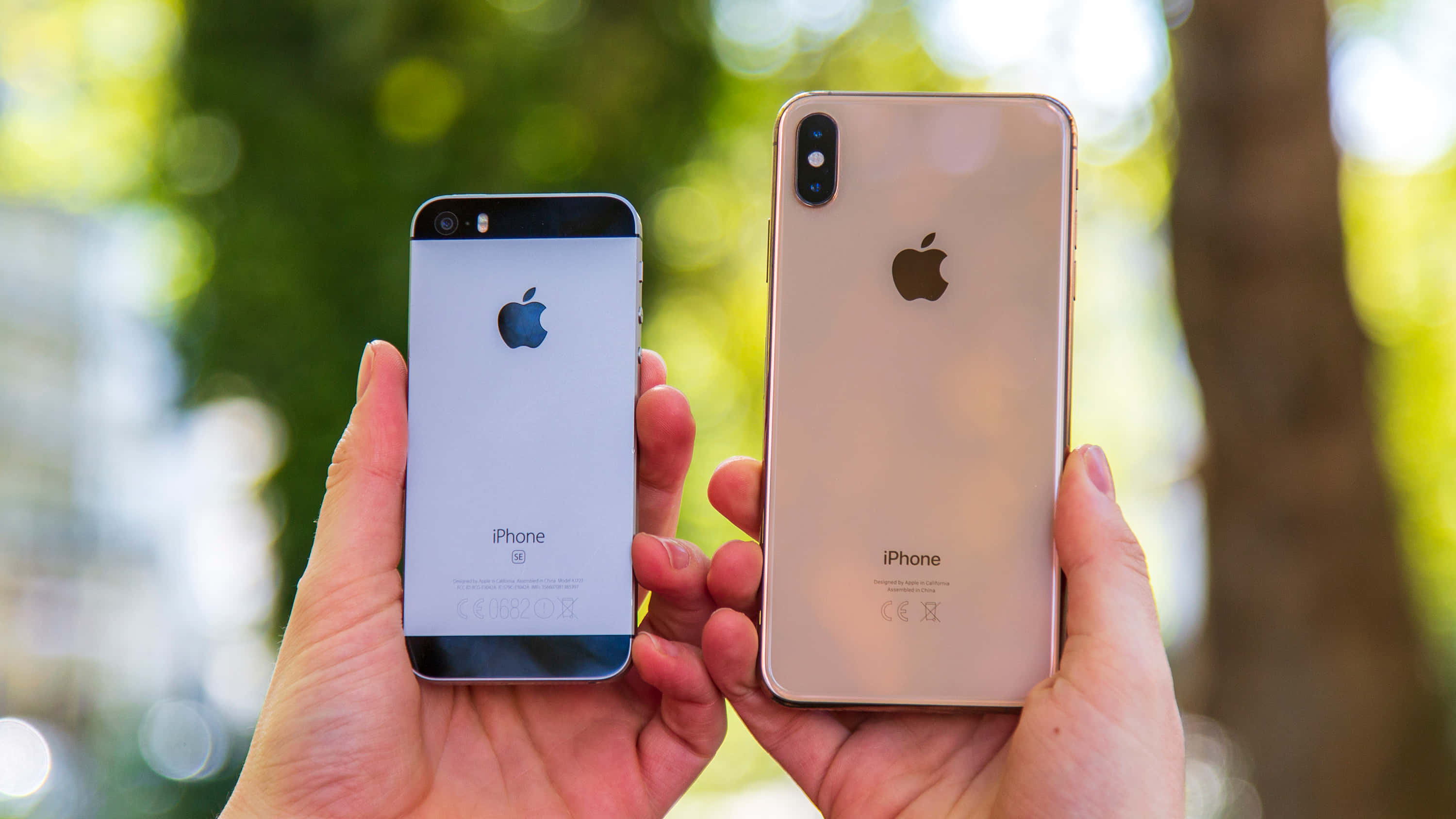 Apple Phone 桌布 壁紙 — 兩隻手並排拿著一部iPhone 5s和一部iPhone X，背景是陽光照射的綠色散景。