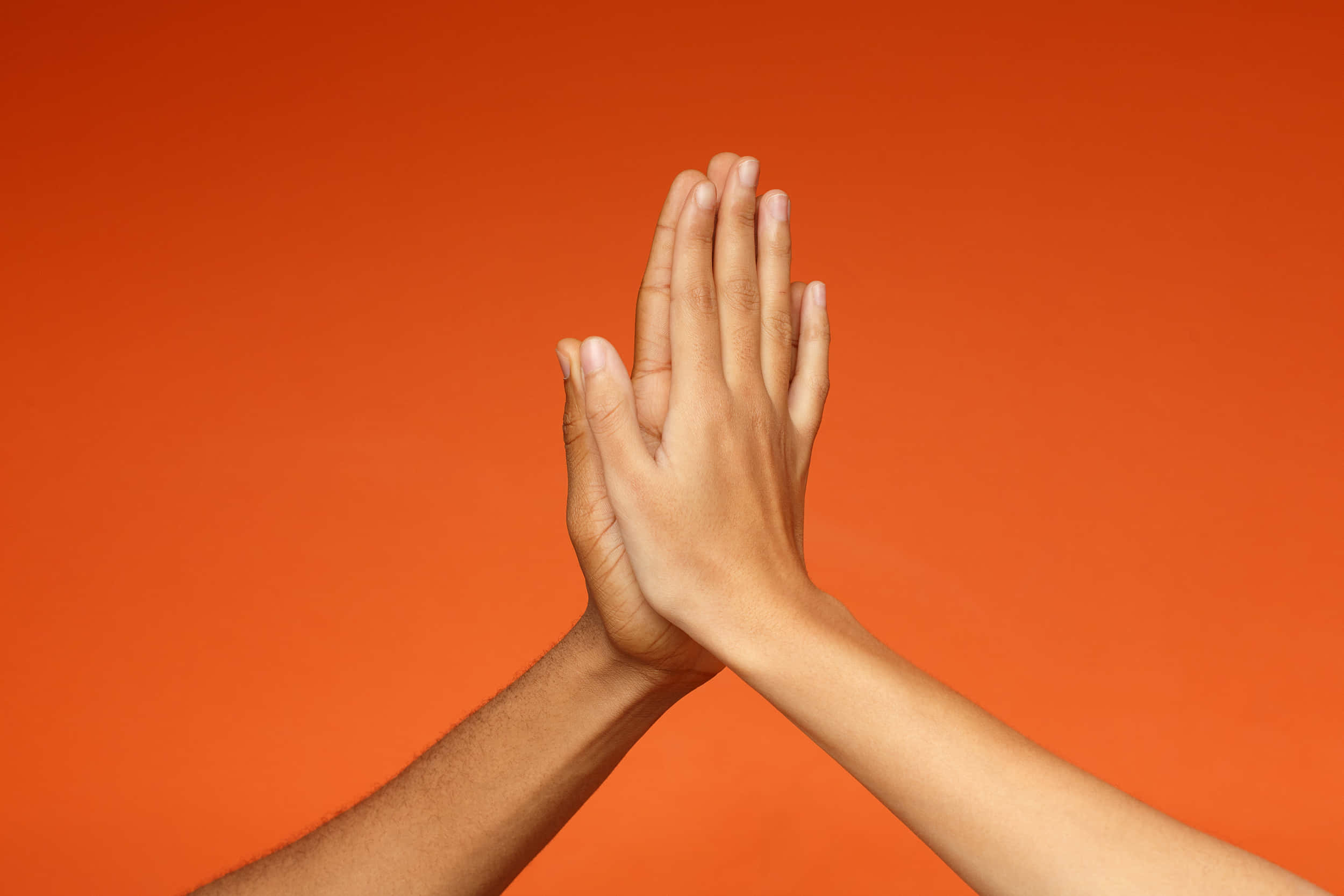 hand 桌布 壁紙 — 兩隻手以擊掌手勢合在一起，背景為純橙色。