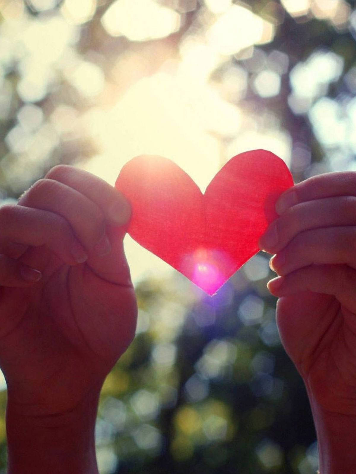 Love Phone 桌布 壁紙 — 兩隻手在穿過綠樹的明亮陽光下，拿著一個紅色紙心。