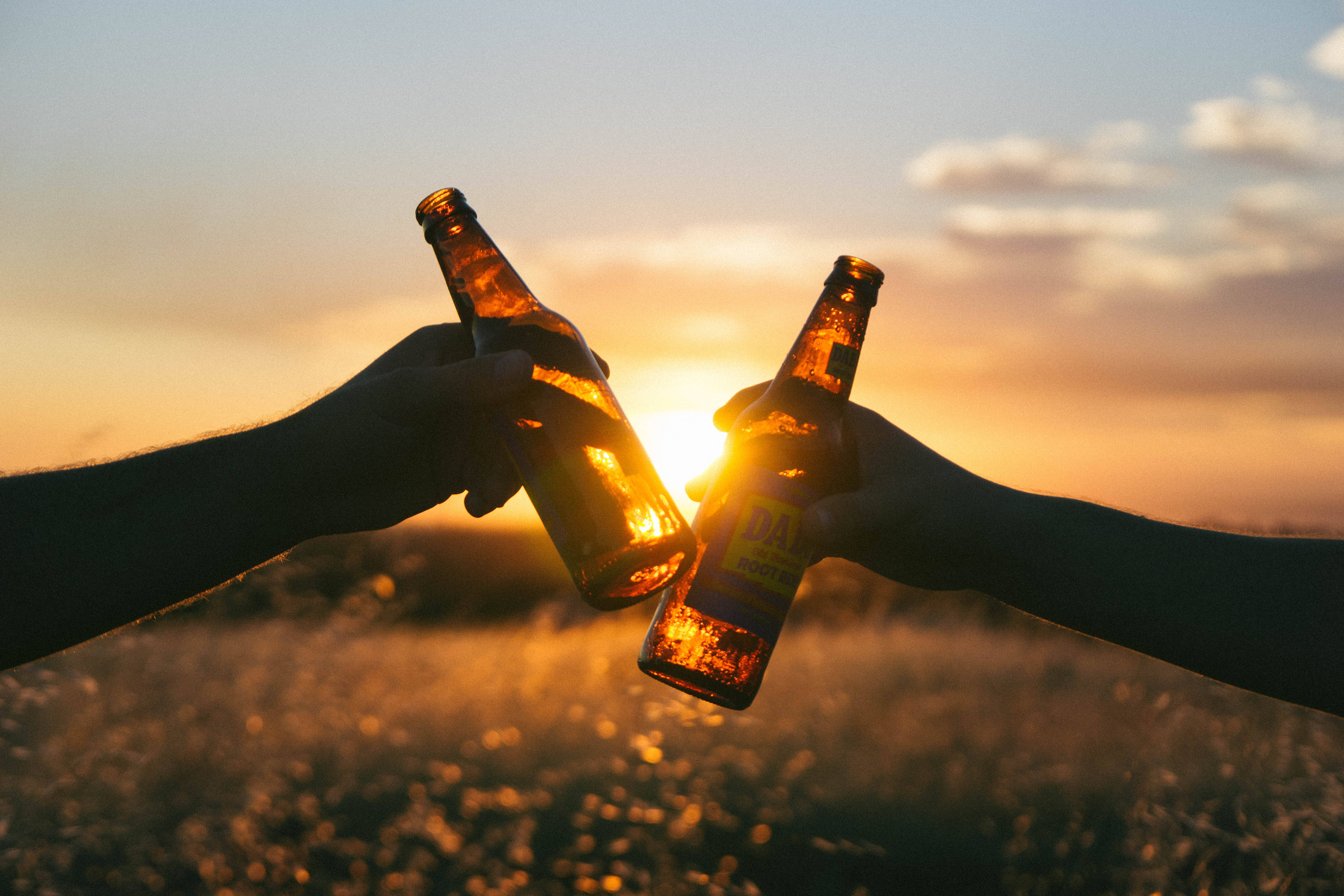 Beer 桌布 壁紙 — 兩隻手在金色夕陽下，於高草田野上碰啤酒瓶。