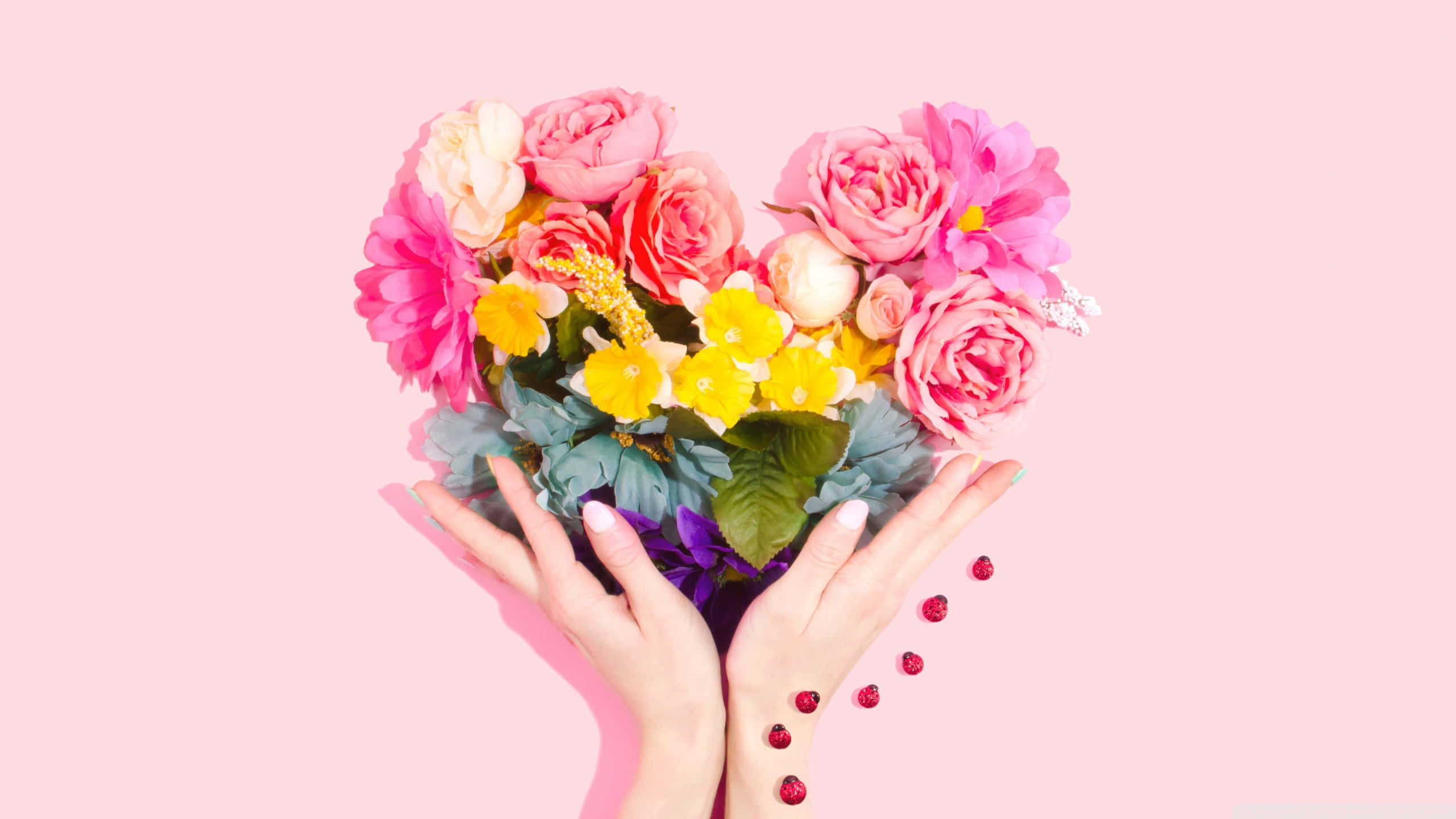 Roses 桌布 壁紙 — 兩隻手捧著一個由粉紅玫瑰、黃色雛菊和藍色葉子組成的鮮豔心形花束，背景是柔和的粉紅色。