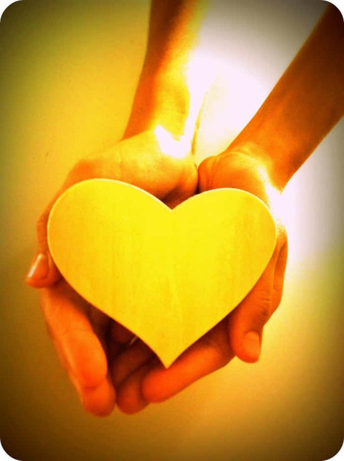 Yellow Heart 桌布 壁紙 — 兩隻手捧著一個發光的金色心形，背景溫暖而光芒四射。