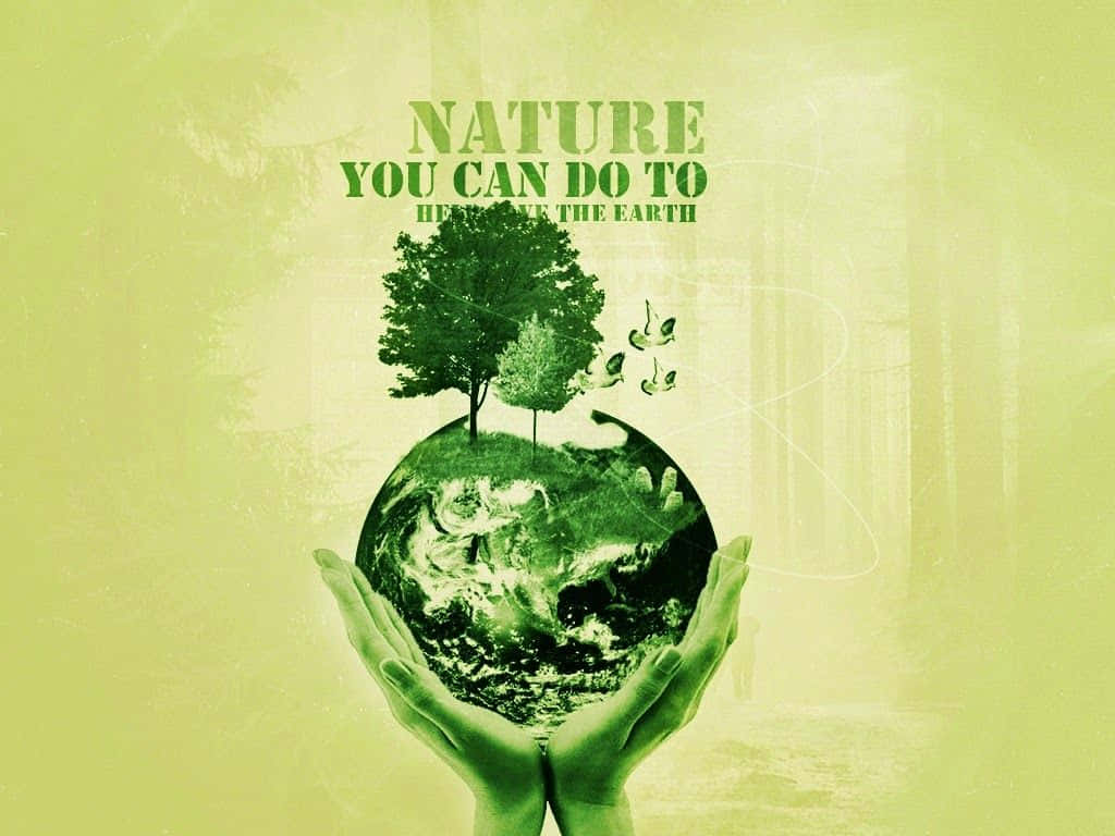 地球 桌布 壁紙 — 兩隻手捧著一個綠色地球儀，上面有樹木和鳥類，背景是帶紋理的淺綠色。