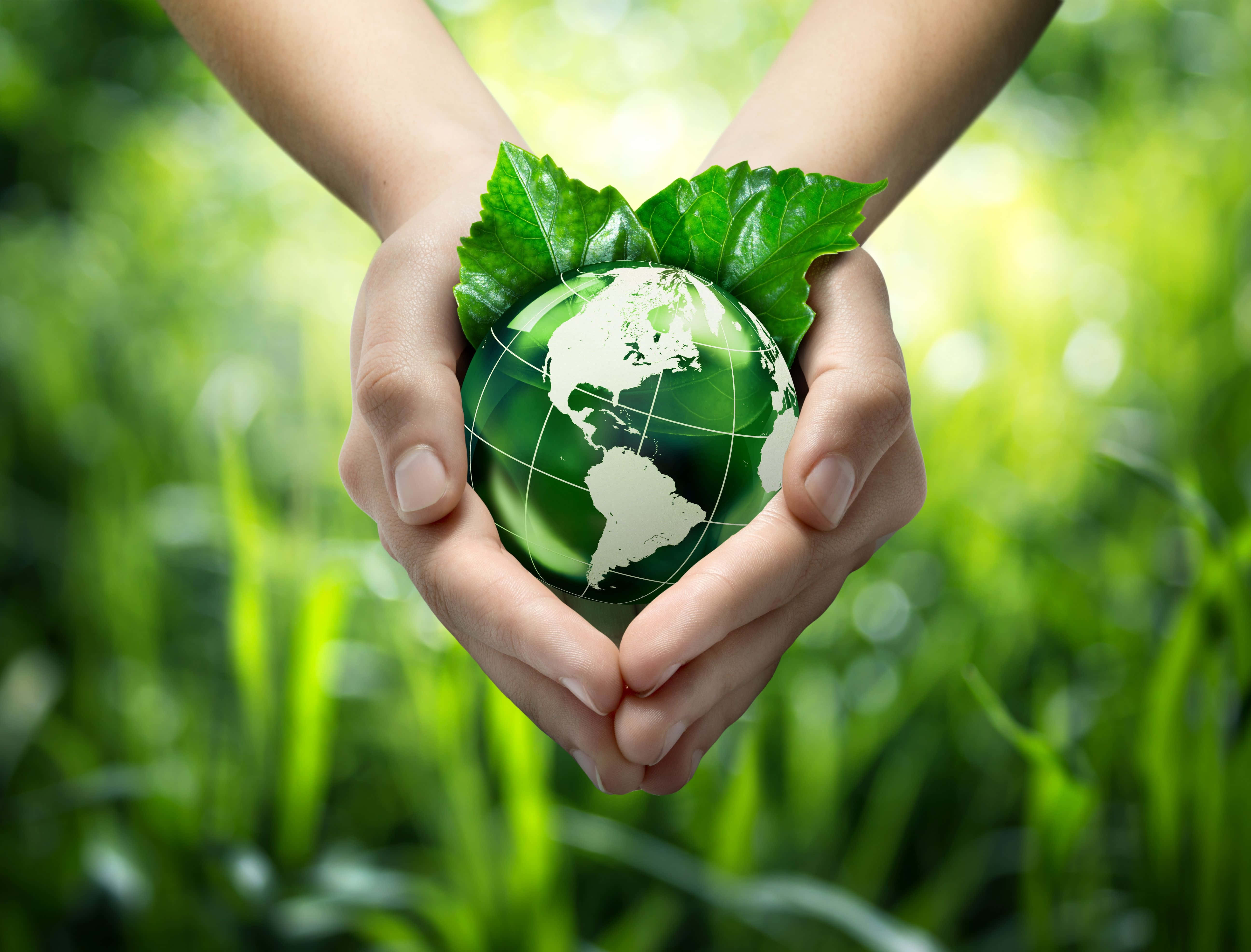 世界地球日 桌布 壁紙 — 兩隻手捧著一個裝飾著葉子的綠色地球儀，背景是茂密的草地。