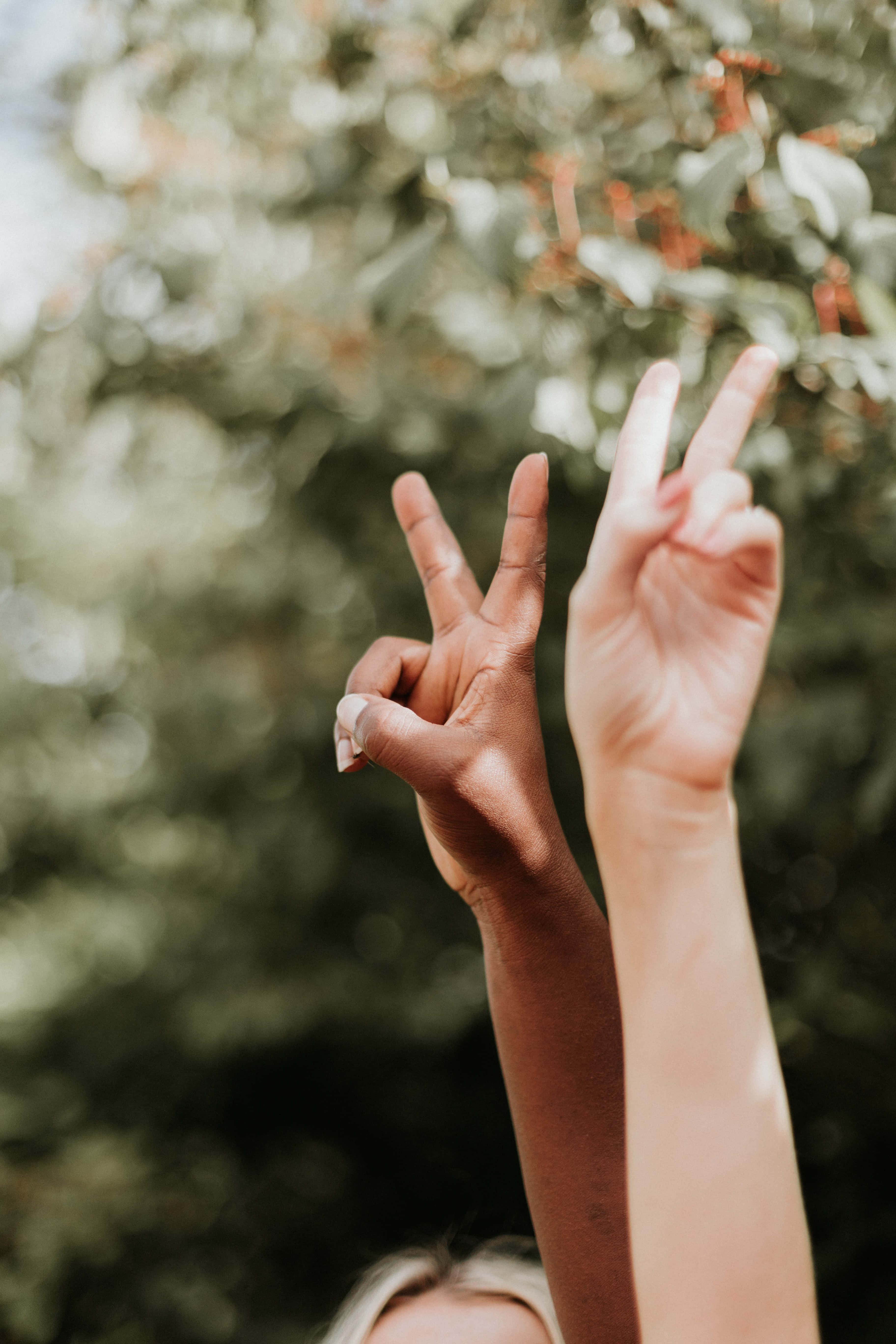 Interracial 桌布 壁紙 — 兩隻手舉起和平手勢，背景是柔和模糊的綠色樹葉。
