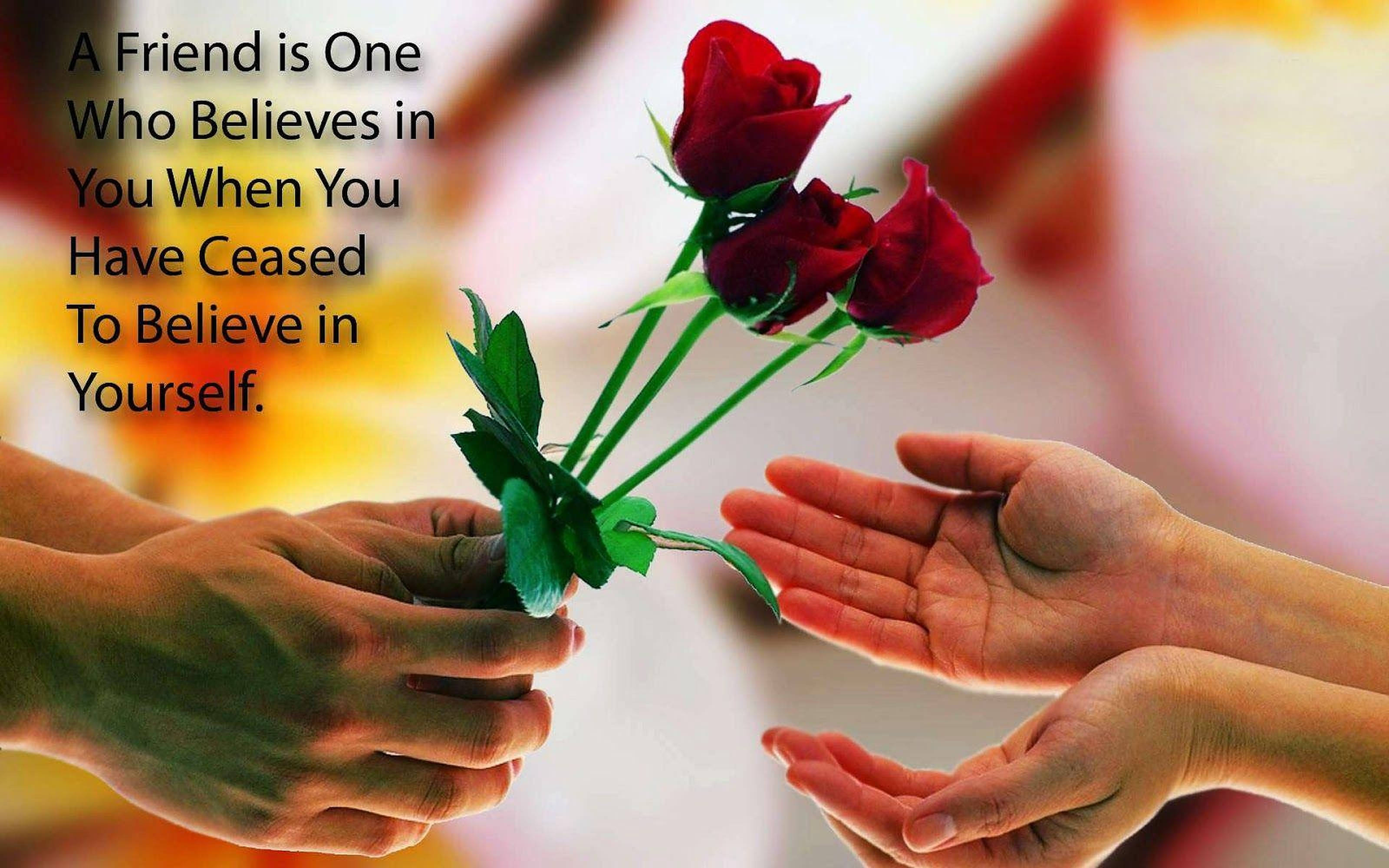 Friendship Quotes 桌布 壁紙 — 兩隻手輕輕傳遞一束三朵深紅玫瑰，背景溫暖模糊，帶有勵志文字。