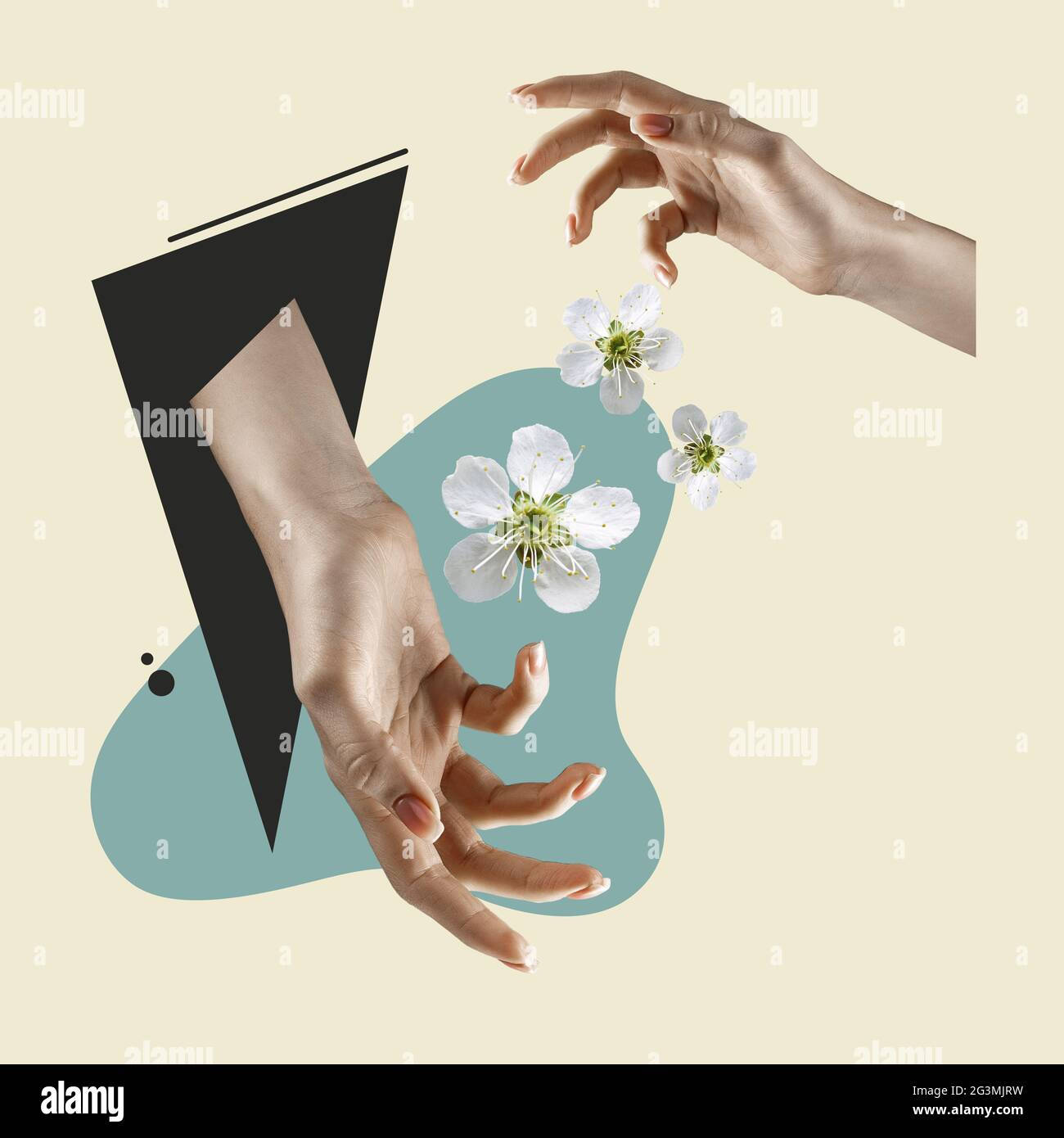 Trendy Aesthetic 桌布 壁紙 — 兩隻手輕輕地與漂浮的白色花朵互動，背景是簡約的米色和藍綠色抽象背景。