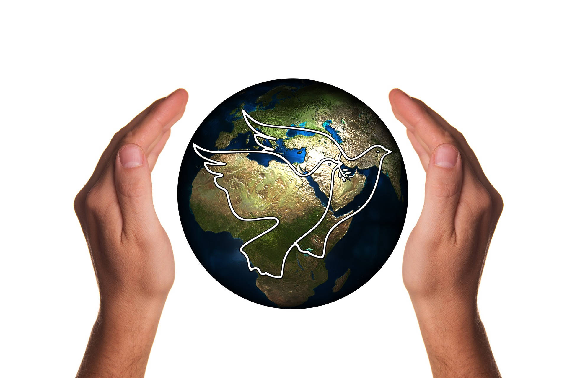 World 桌布 壁紙 — 兩隻手輕輕捧著一個地球儀，上面有白色鴿子輪廓，象徵非洲和歐洲的和平。