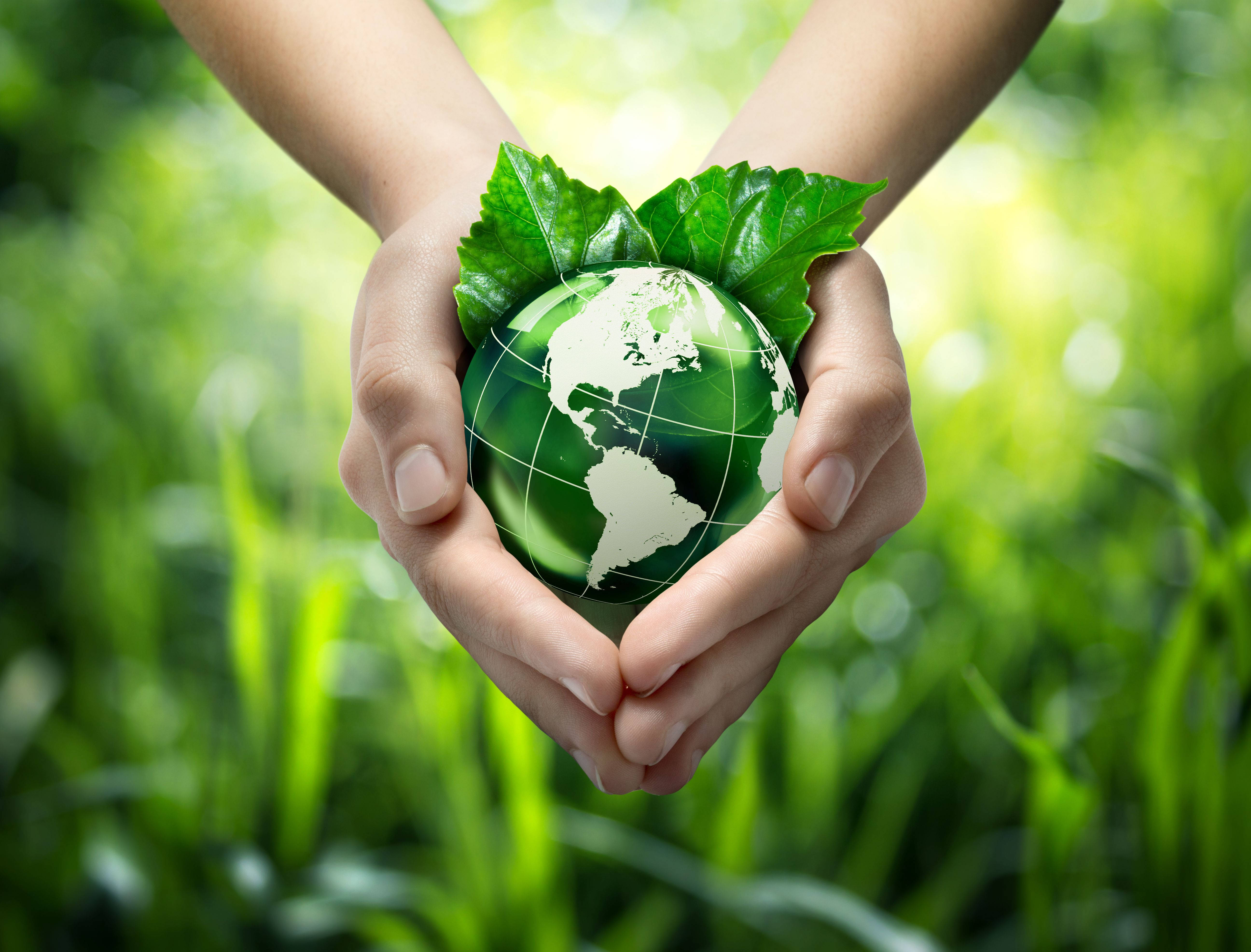Earth Day 桌布 壁紙 — 兩隻手輕輕捧著一個裝飾著葉子的綠色地球儀，背景是茂密的草地。