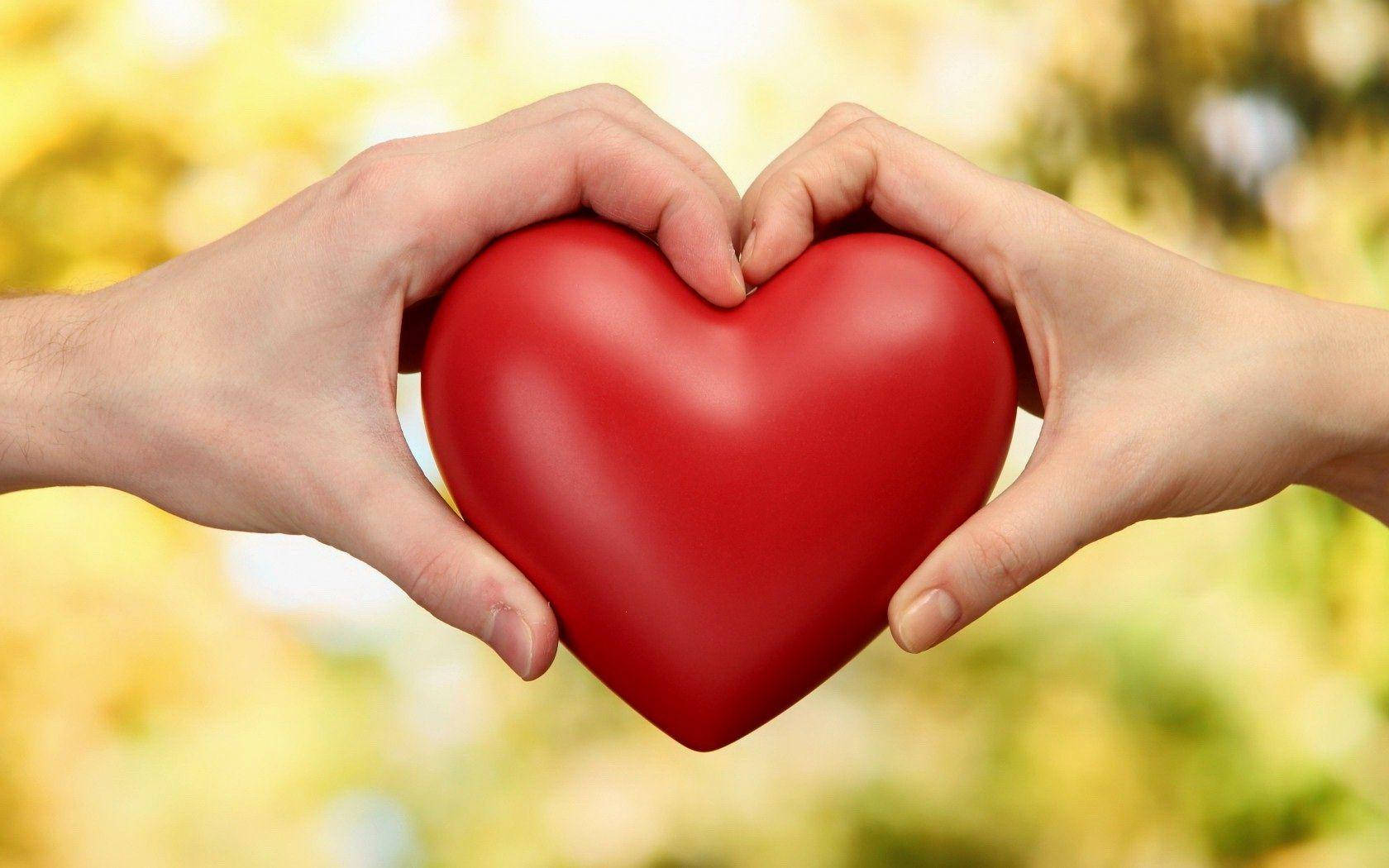 love full HD 桌布 壁紙 — 兩隻手輕輕捧著一個閃亮的紅色心形，背景是柔和的金色散景。