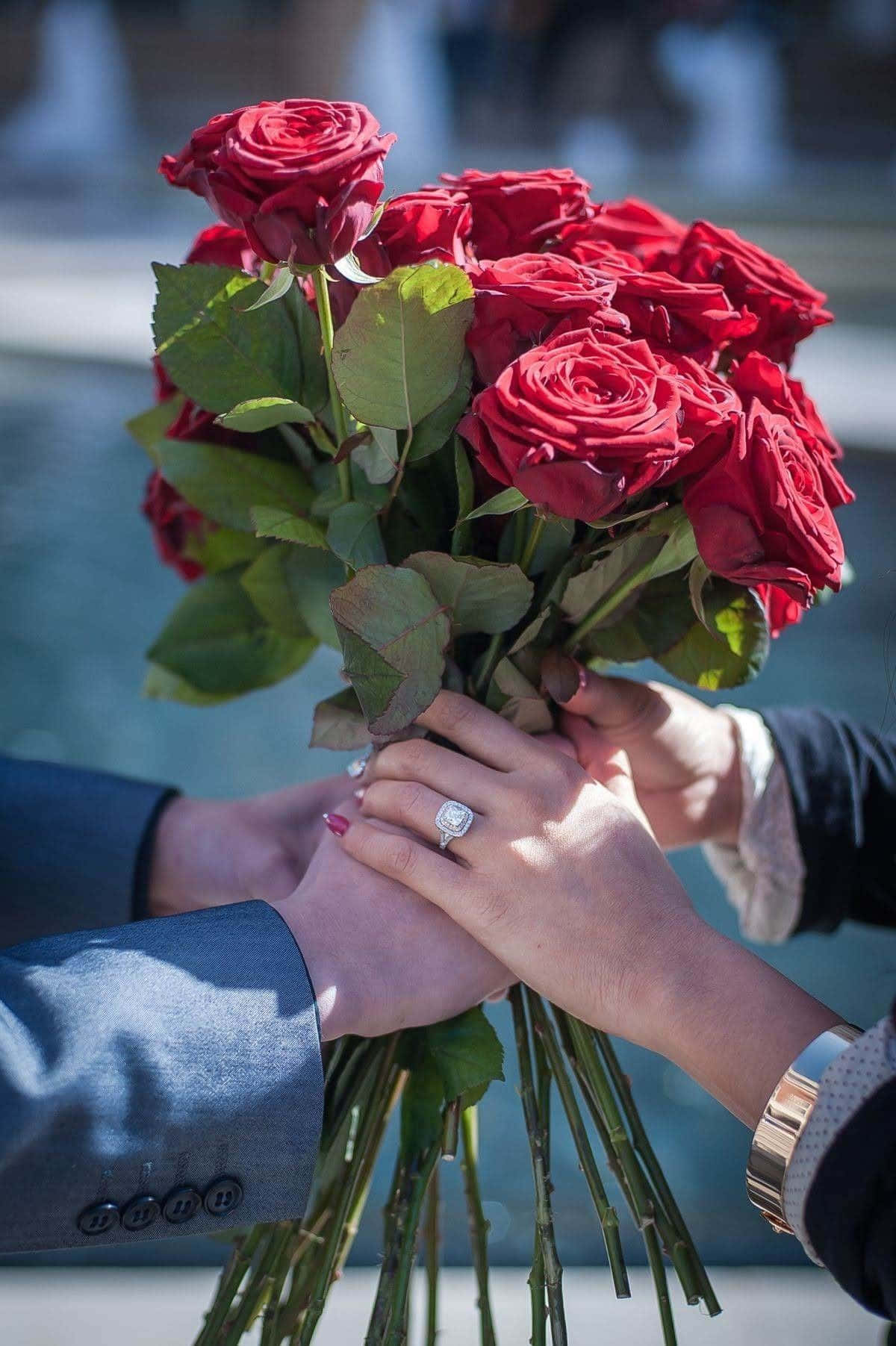 Wedding 桌布 壁紙 — 兩隻手輕輕捧著一束鮮豔的紅玫瑰，襯托著綠葉，背景是模糊的噴泉。