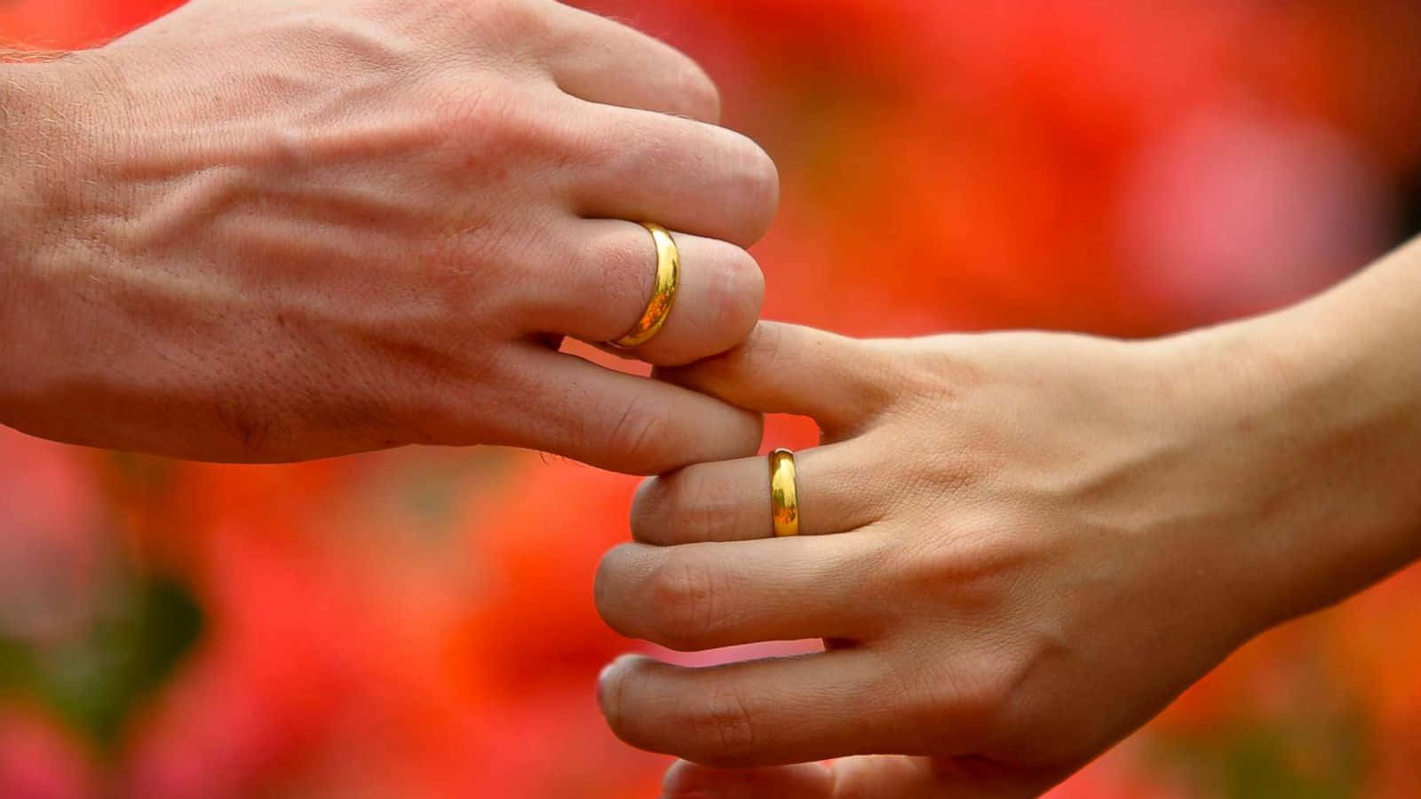 Marriage 桌布 壁紙 — 兩隻手輕輕觸碰，戴著金色結婚戒指，背景是鮮豔模糊的紅色花卉。