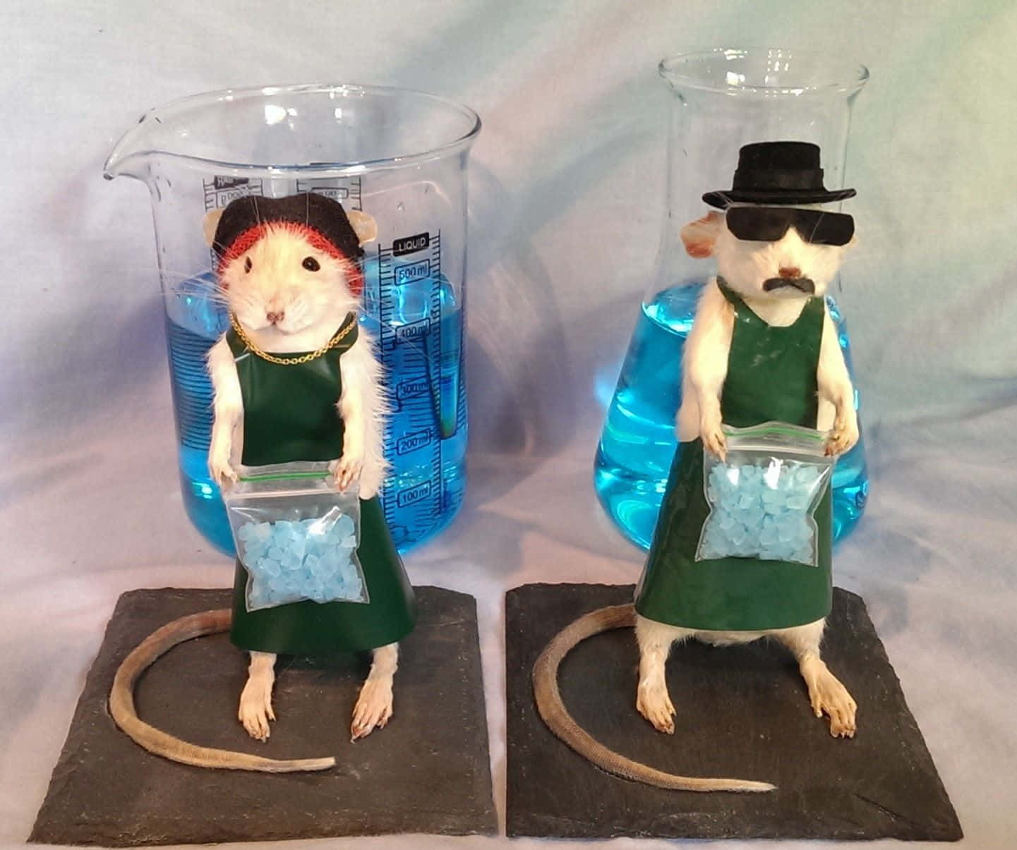 Rat 桌布 壁紙 — 兩隻擬人化老鼠穿著實驗室外套和配飾，站在石板磚上，旁邊是裝滿藍色液體的玻璃燒杯。