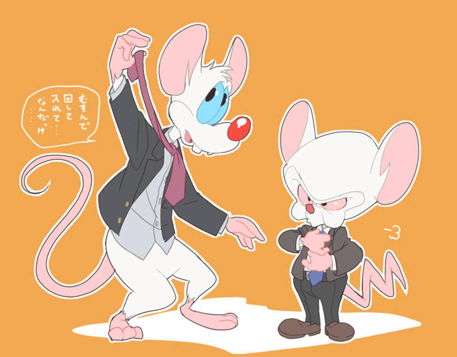 Brain 桌布 壁紙 — 兩隻擬人化老鼠穿著西裝，在純橙色背景前戲劇性地擺姿勢，一隻拿著領帶，另一隻抓著一個小物件。