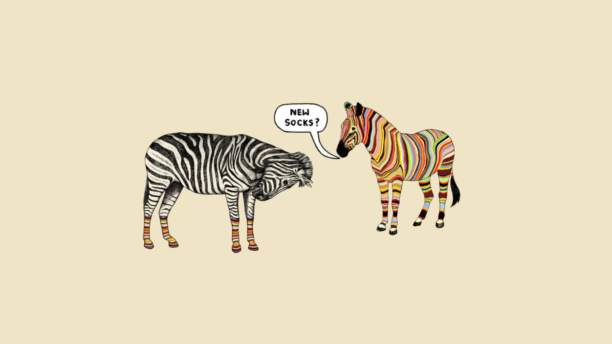 Zebra 桌布 壁紙 — 兩隻斑馬，一隻經典黑白，另一隻彩虹條紋，對話框問新襪子？